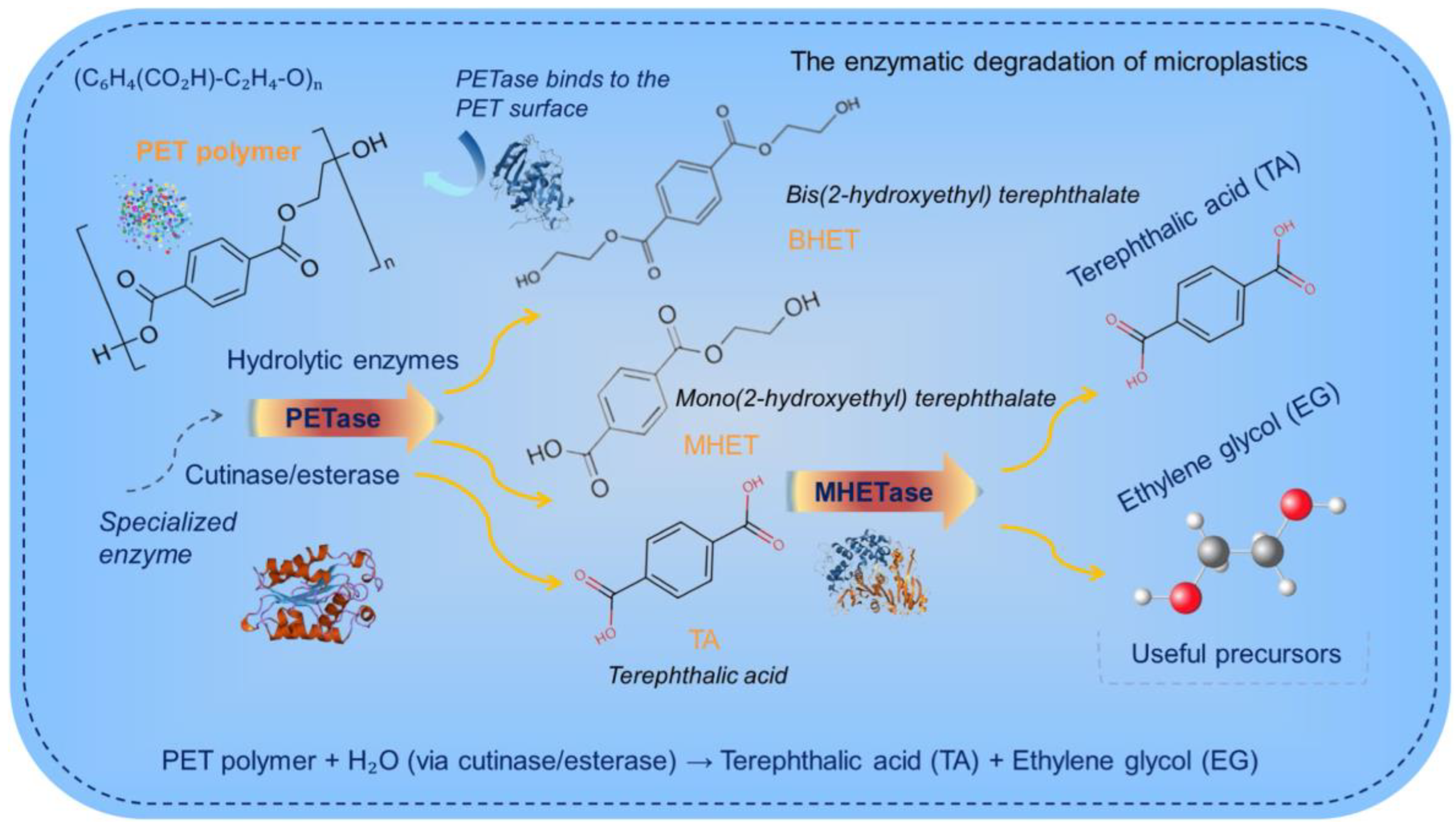 Sustainability 17 09014 g007