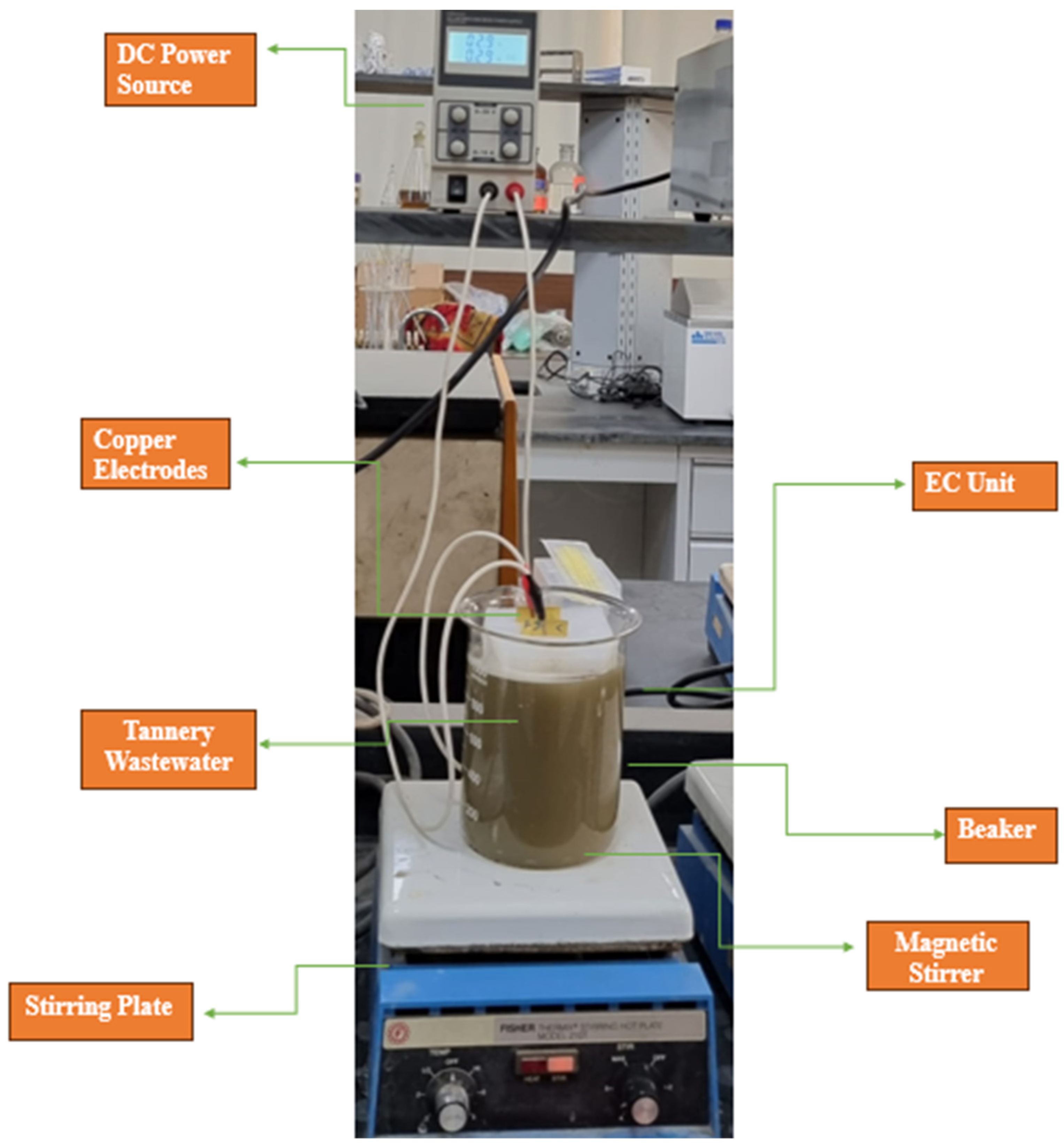 Sustainability 17 09031 g001