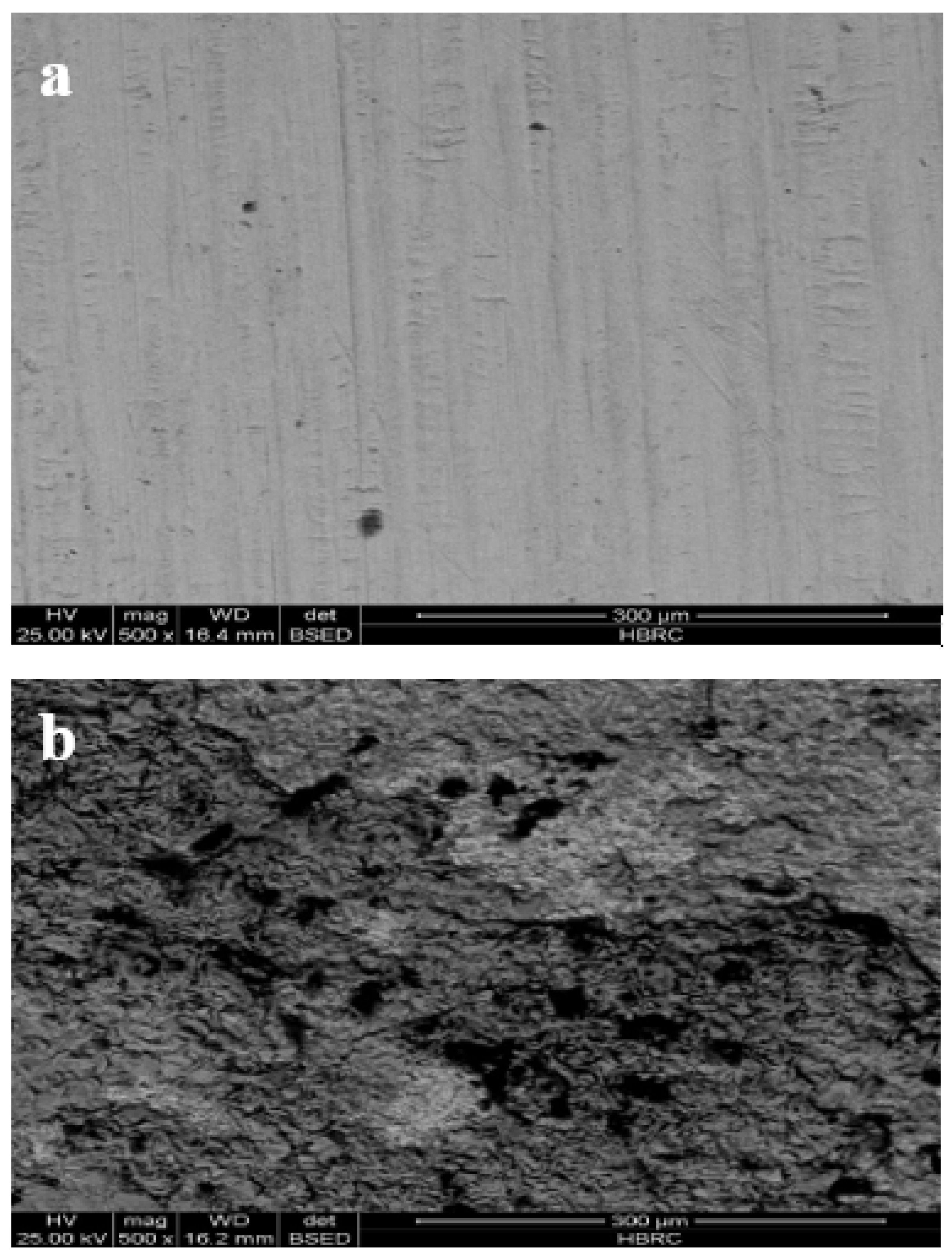 Sustainability 17 09031 g005