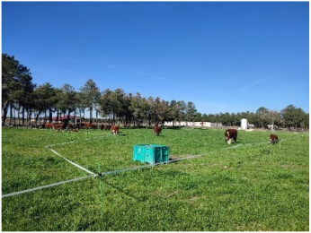 Sustainability 17 09066 i007