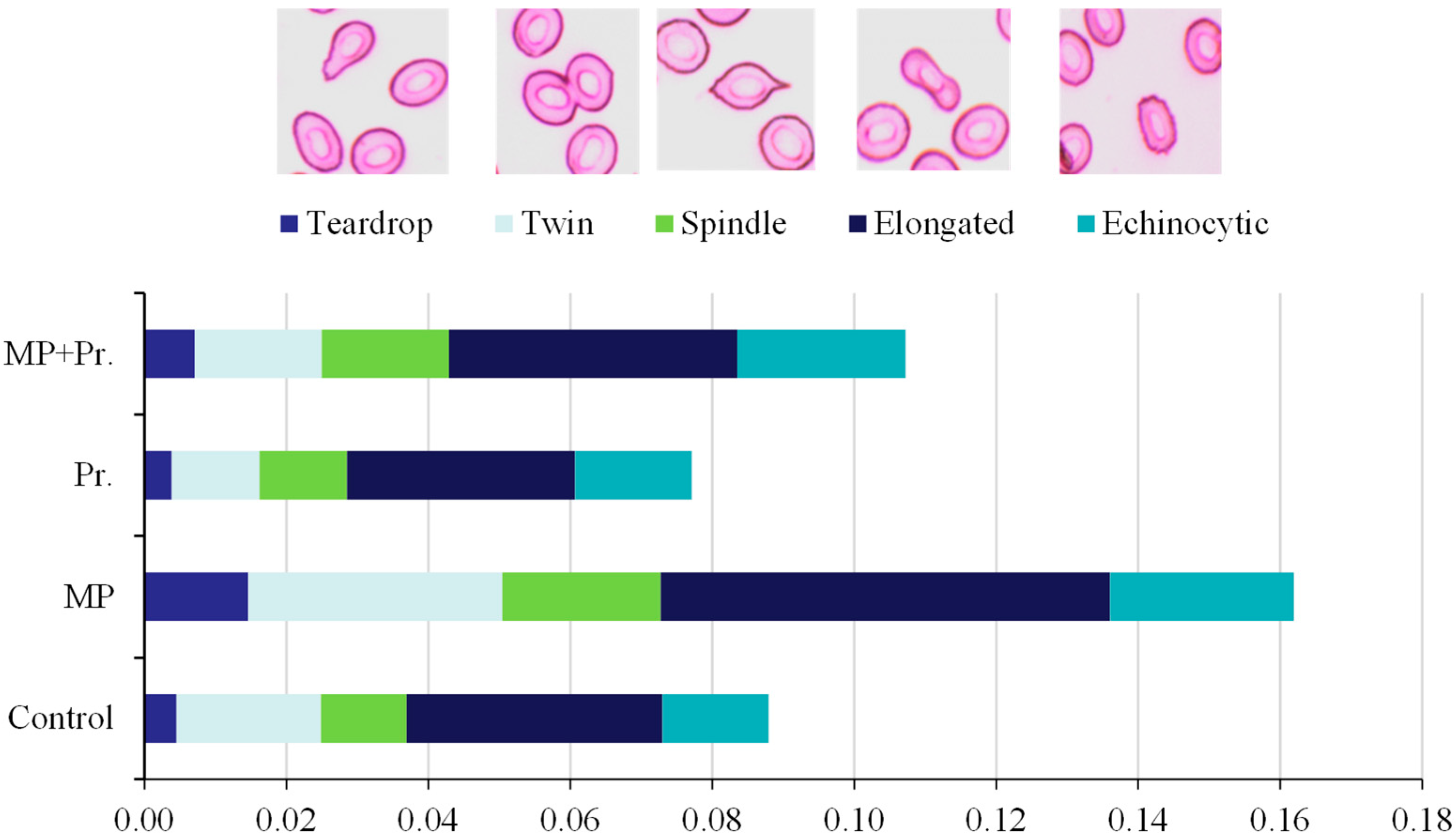 Sustainability 17 09085 g002 Sustainability 17 09085 g002