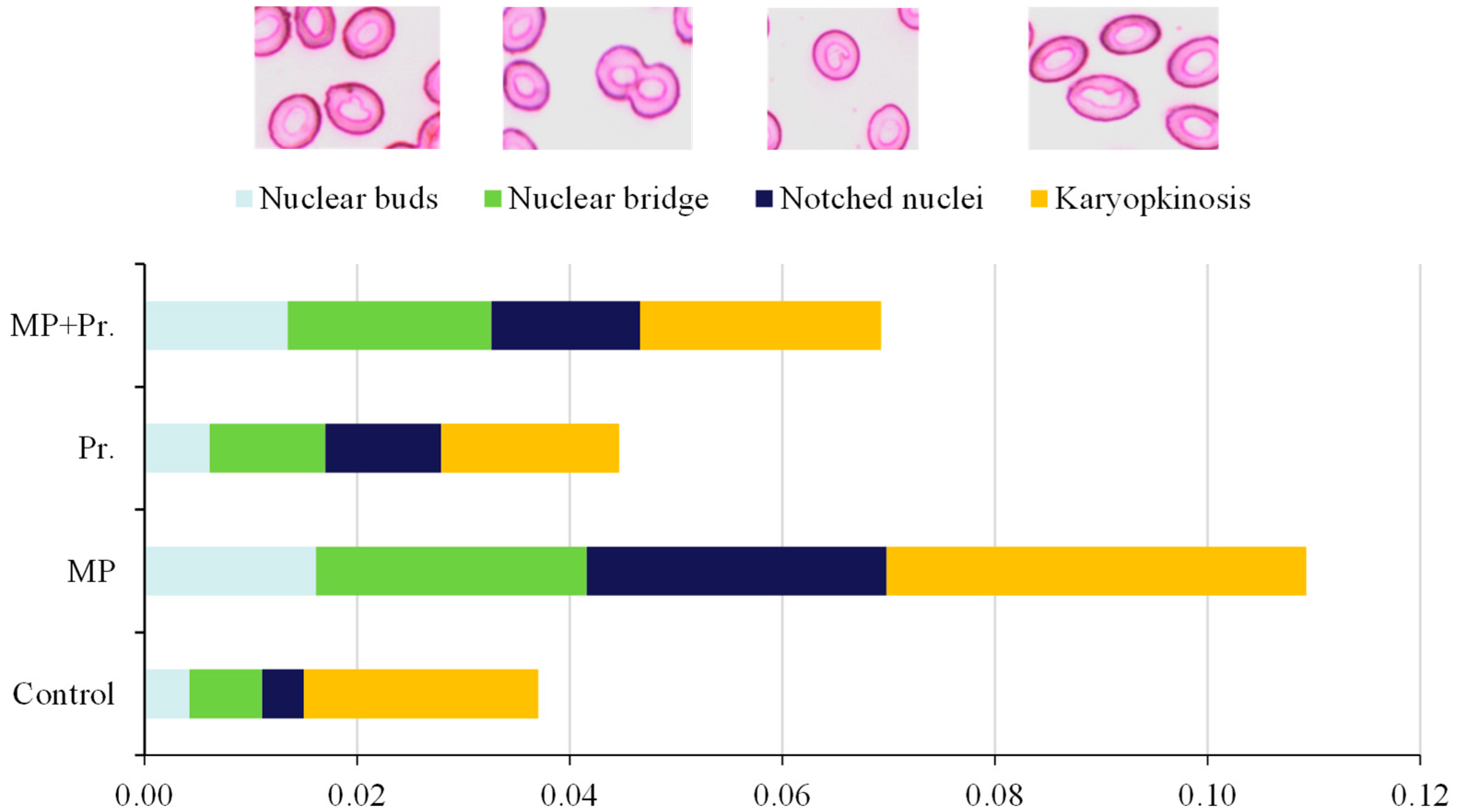 Sustainability 17 09085 g003 Sustainability 17 09085 g003