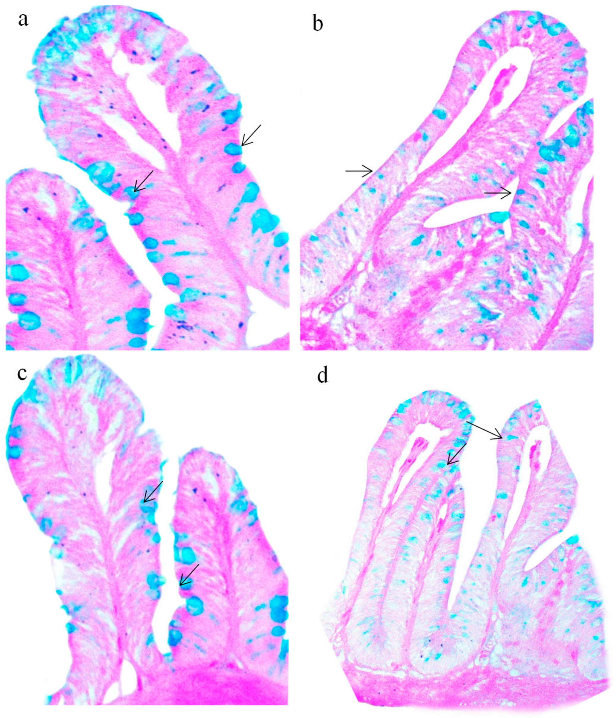 Sustainability 17 09085 g004 Sustainability 17 09085 g004