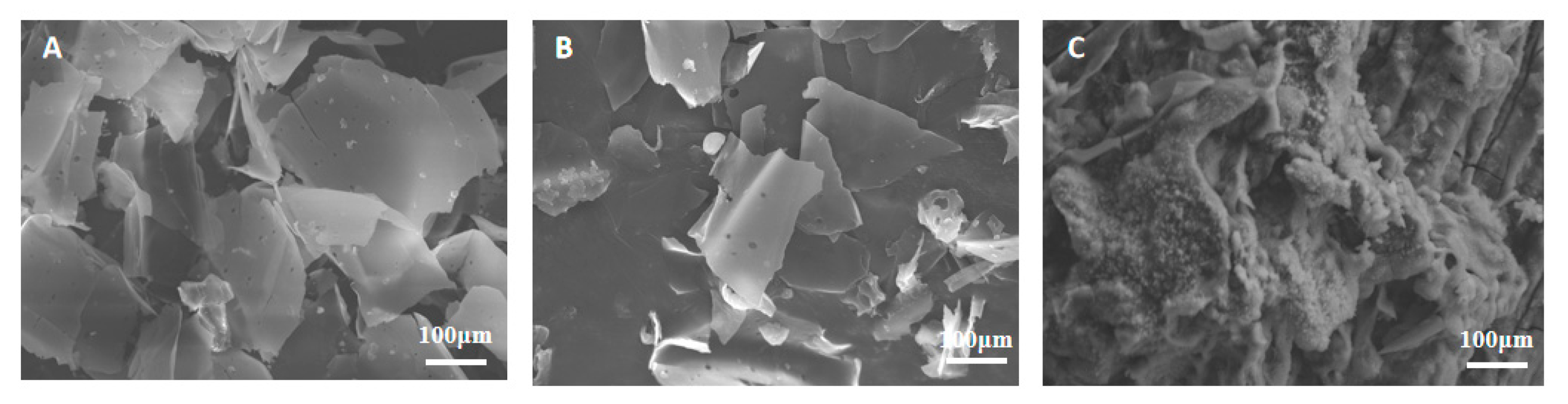 Sustainability 17 09091 g010