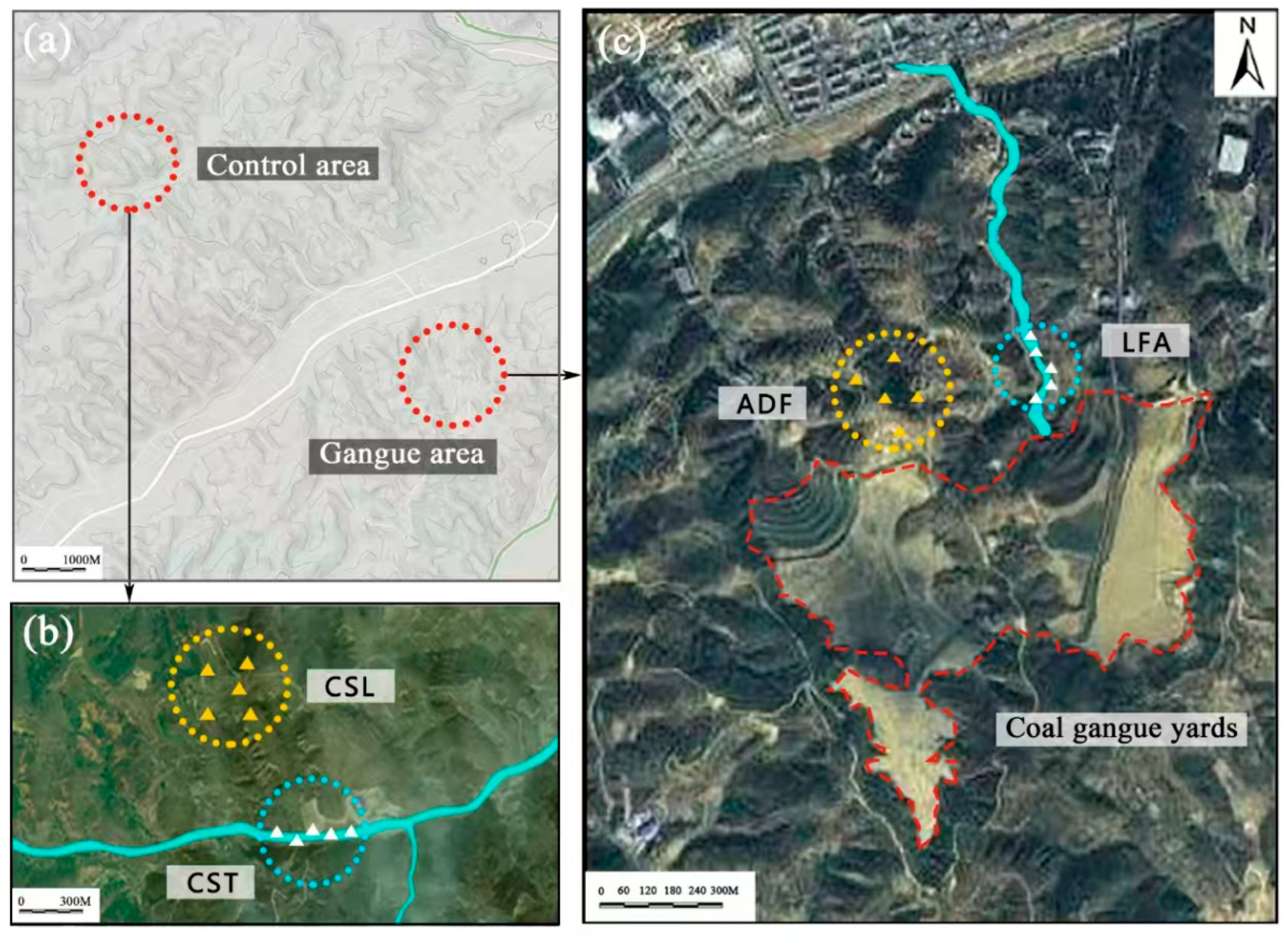 Sustainability 17 09094 g001