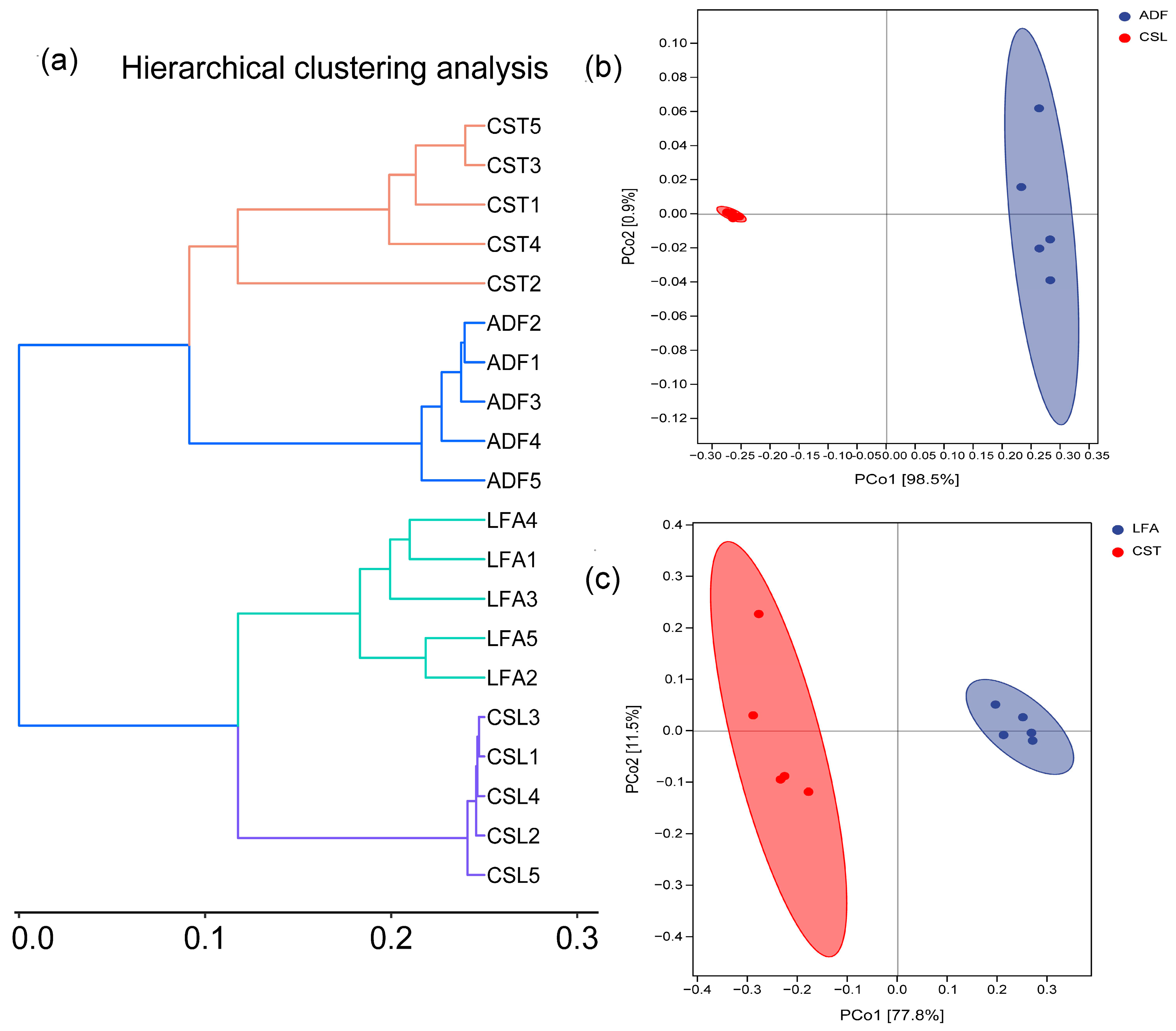 Sustainability 17 09094 g005
