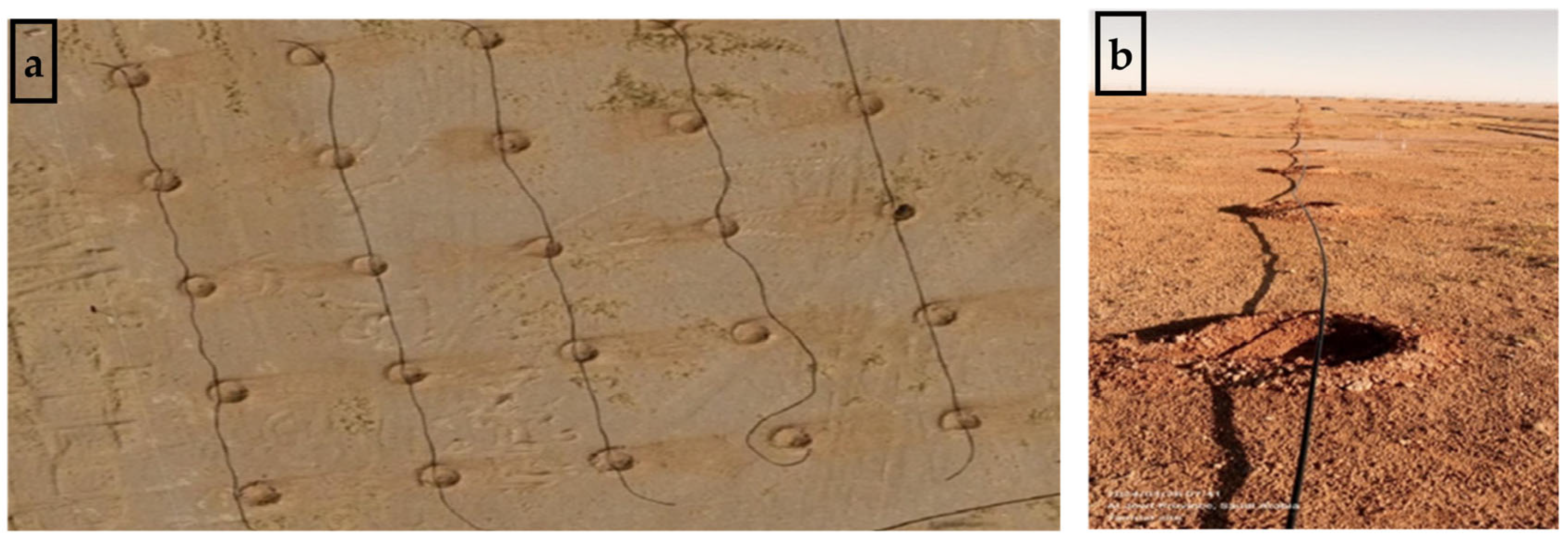 Sustainability 17 09098 g001