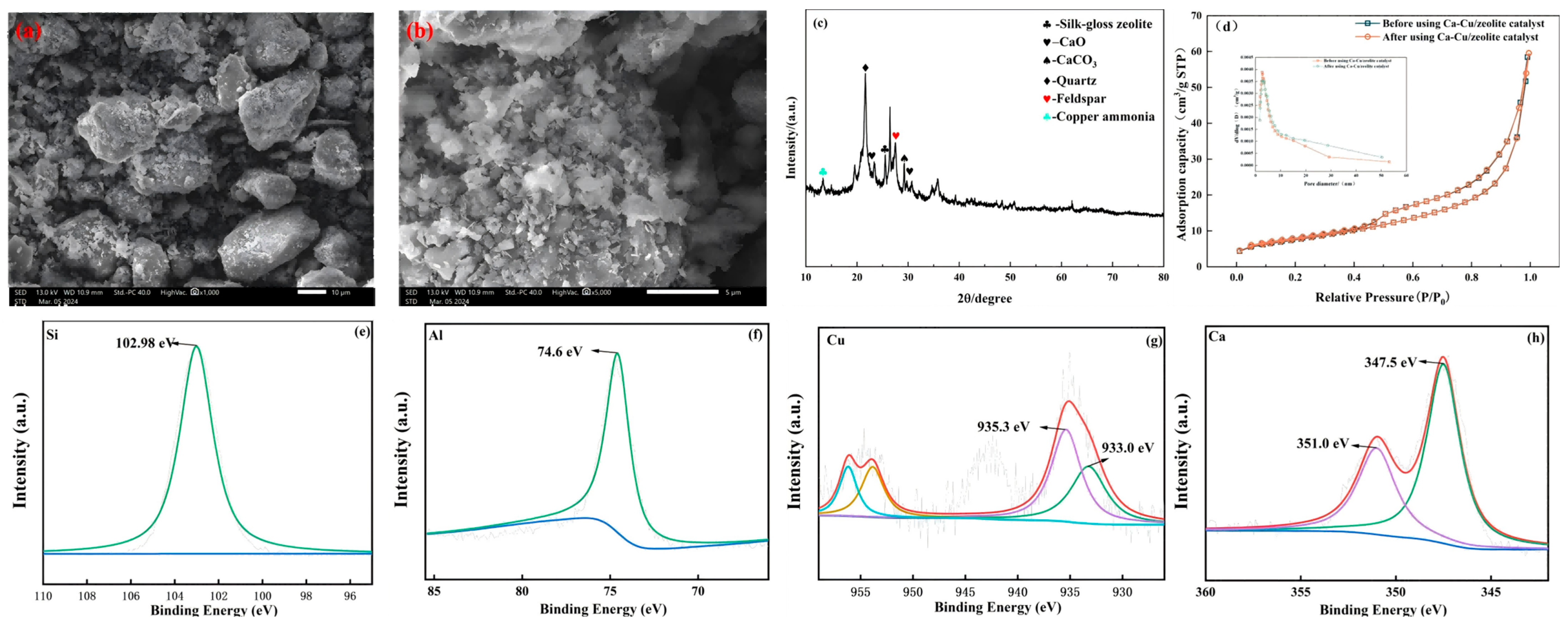 Sustainability 17 09110 g005