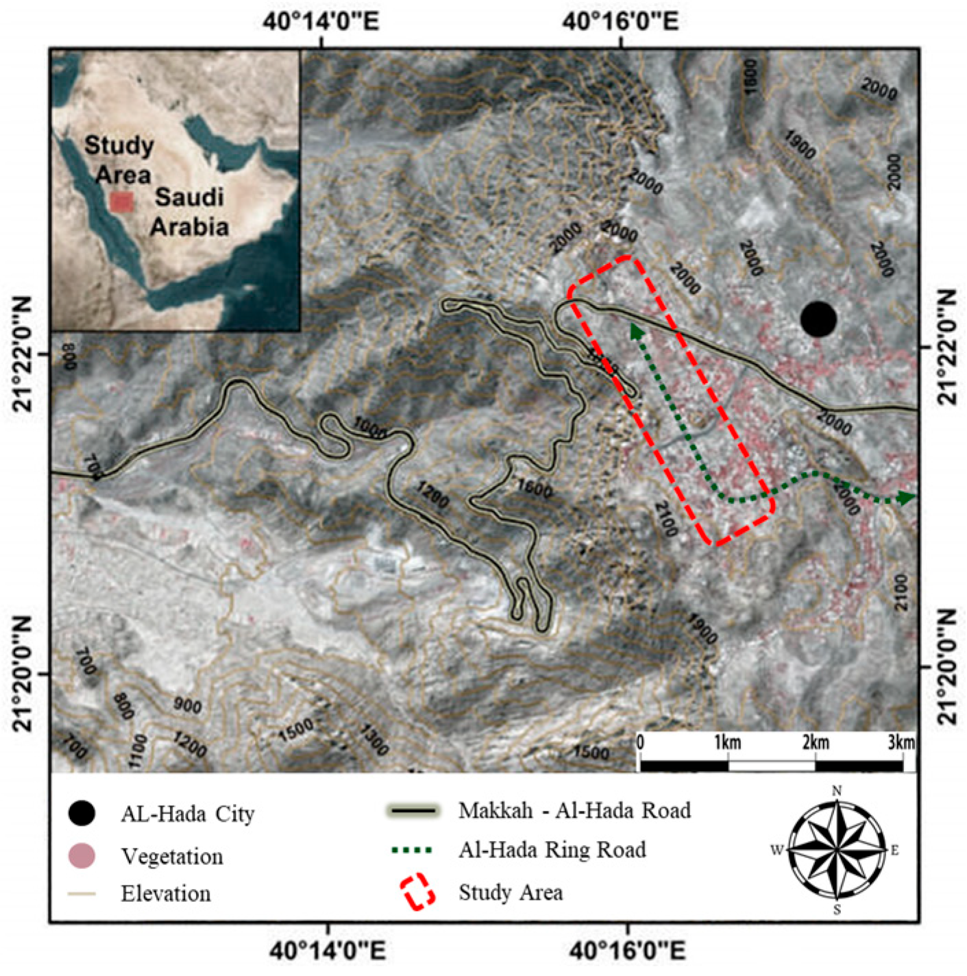 Sustainability 17 09117 g001