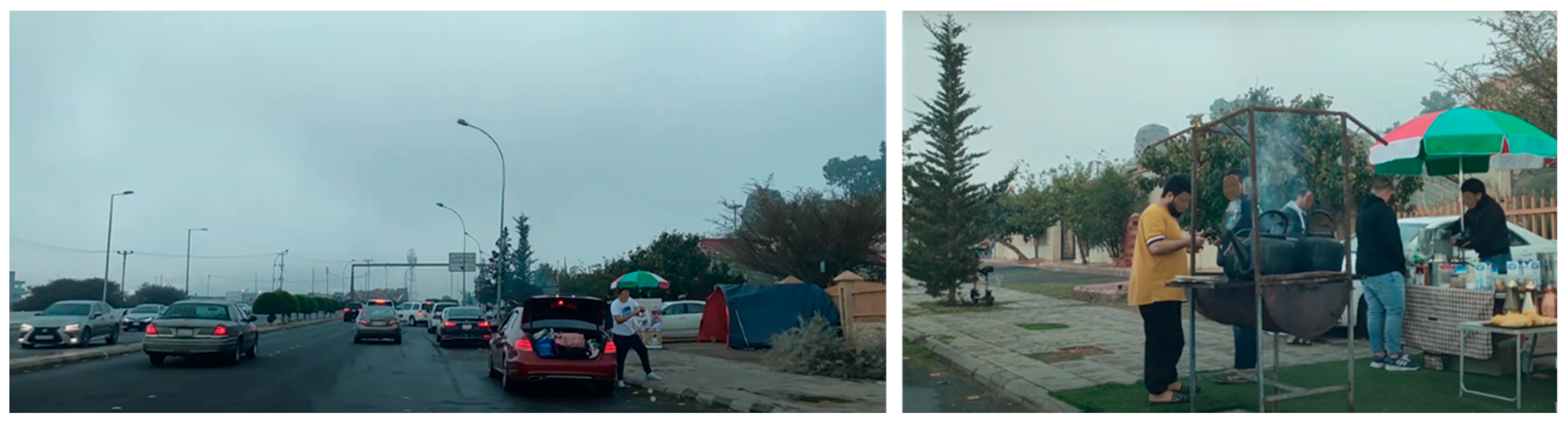 Sustainability 17 09117 g003