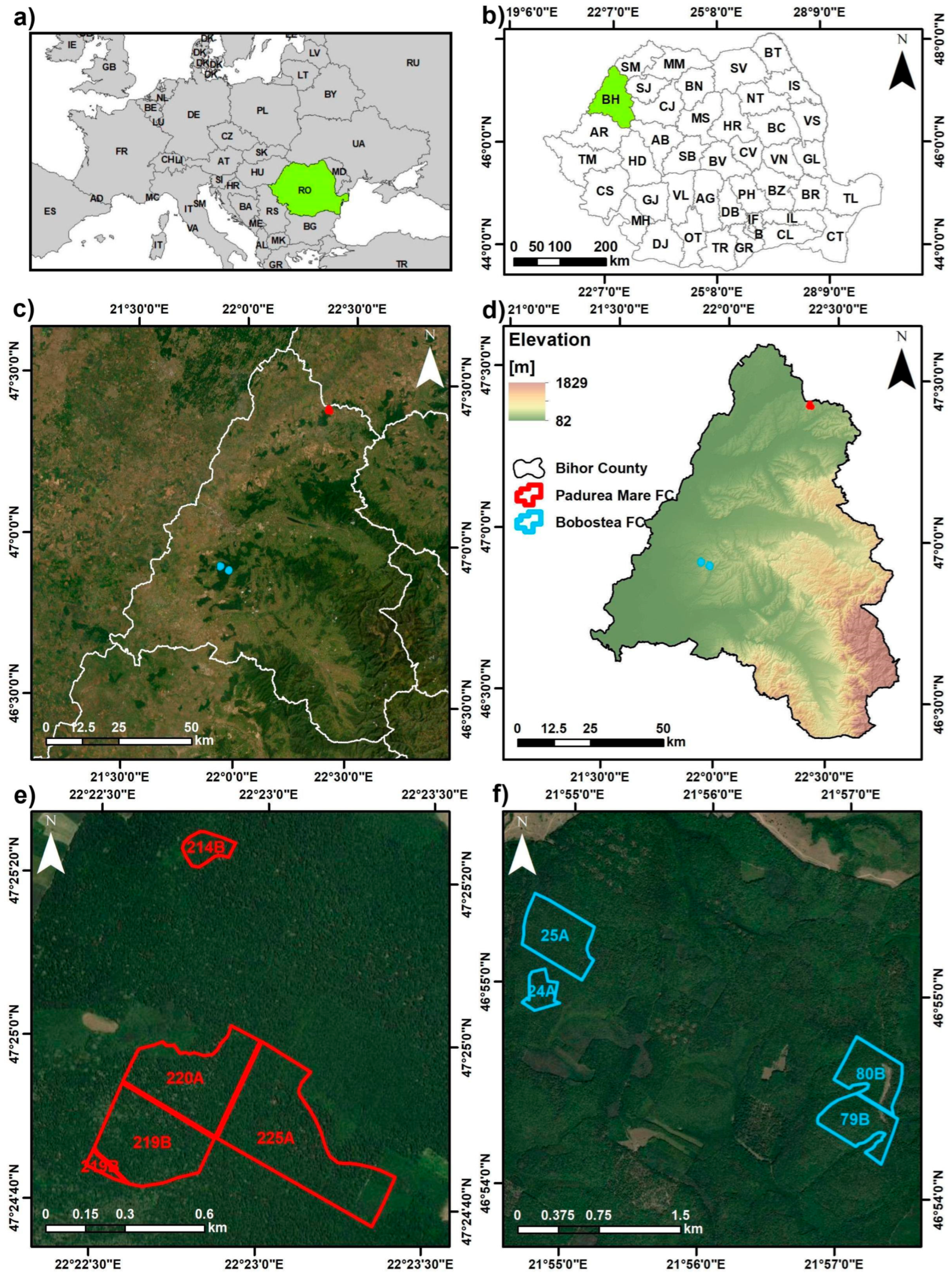 Sustainability 17 09197 g001