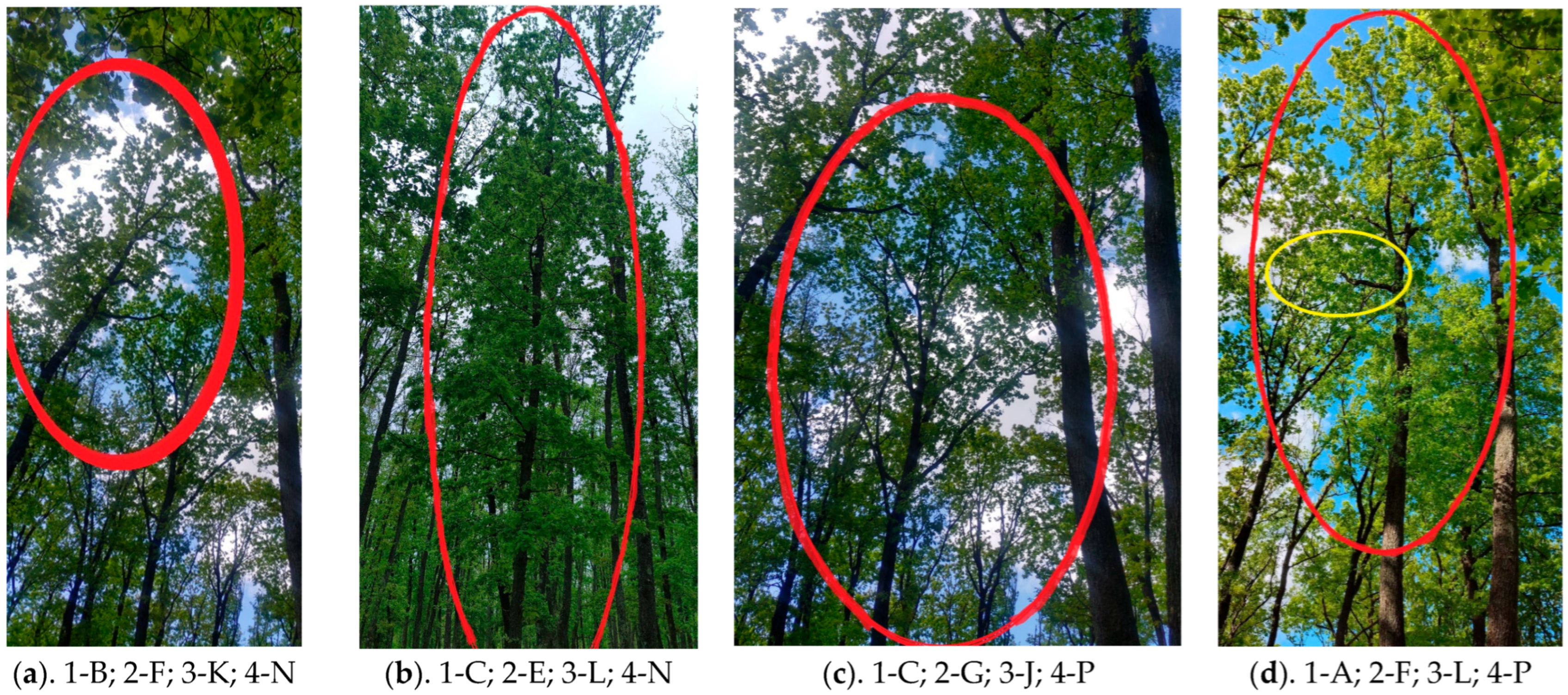 Sustainability 17 09197 g003