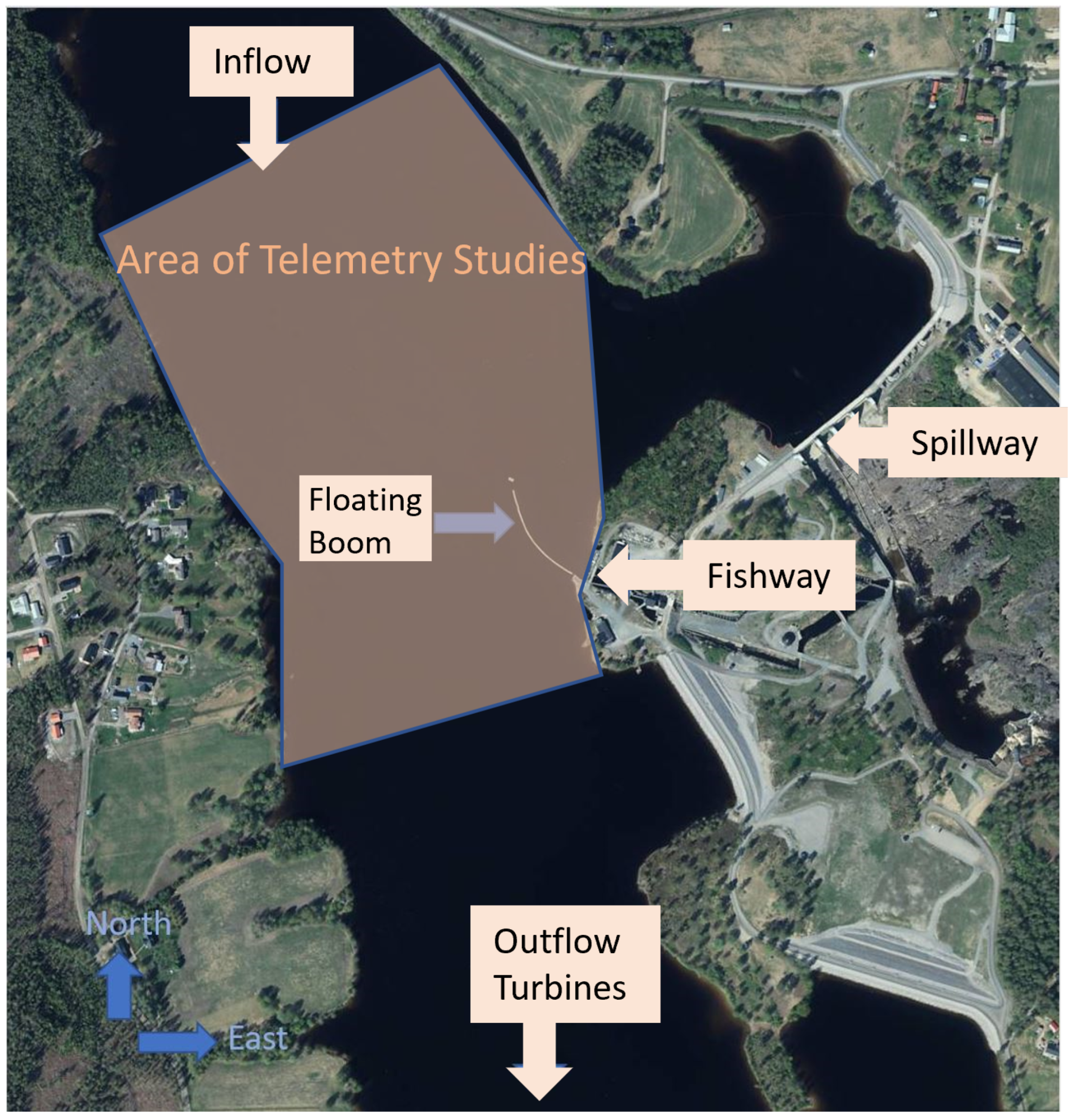 Sustainability 17 09241 g001