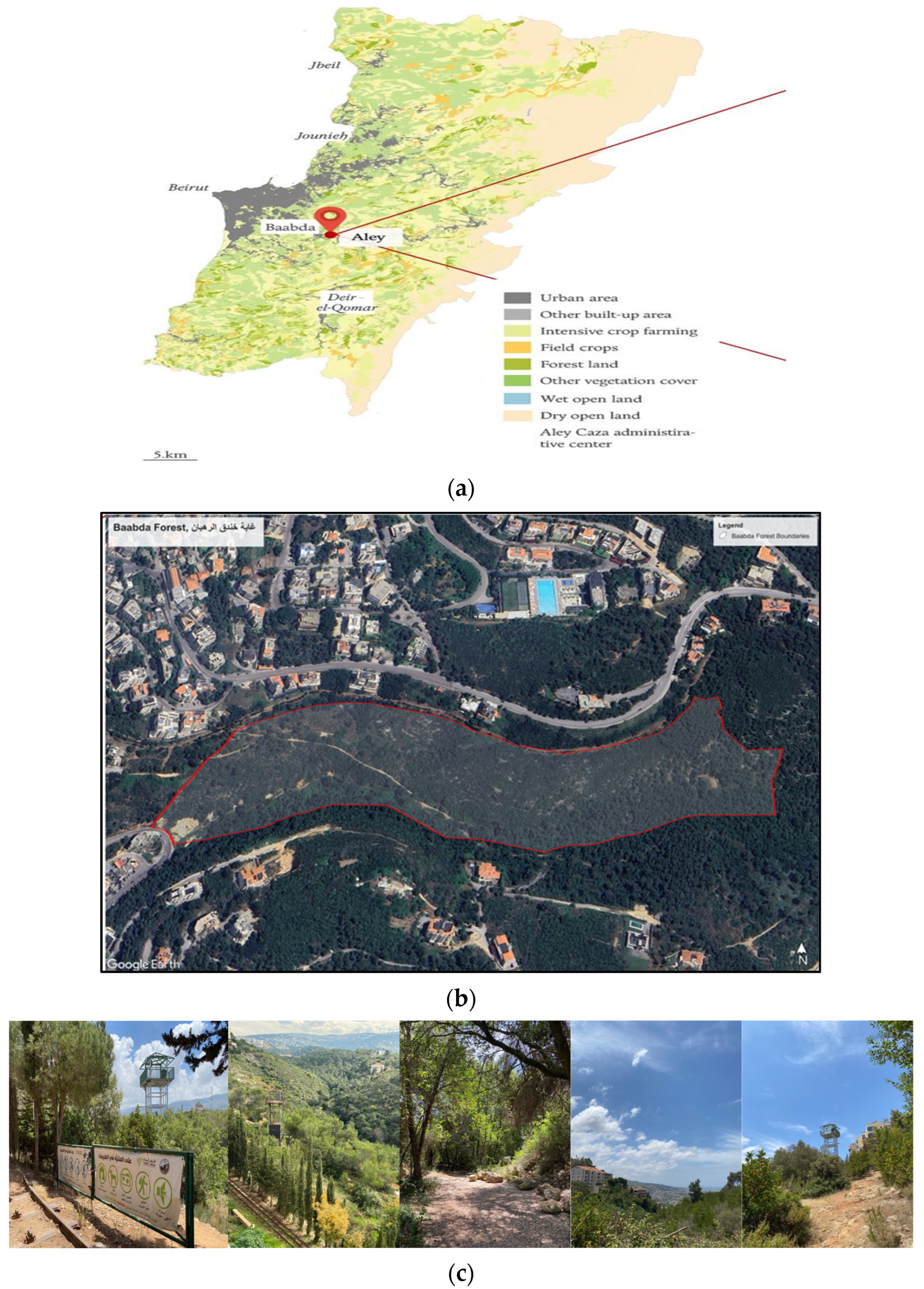 Sustainability 17 09303 g001