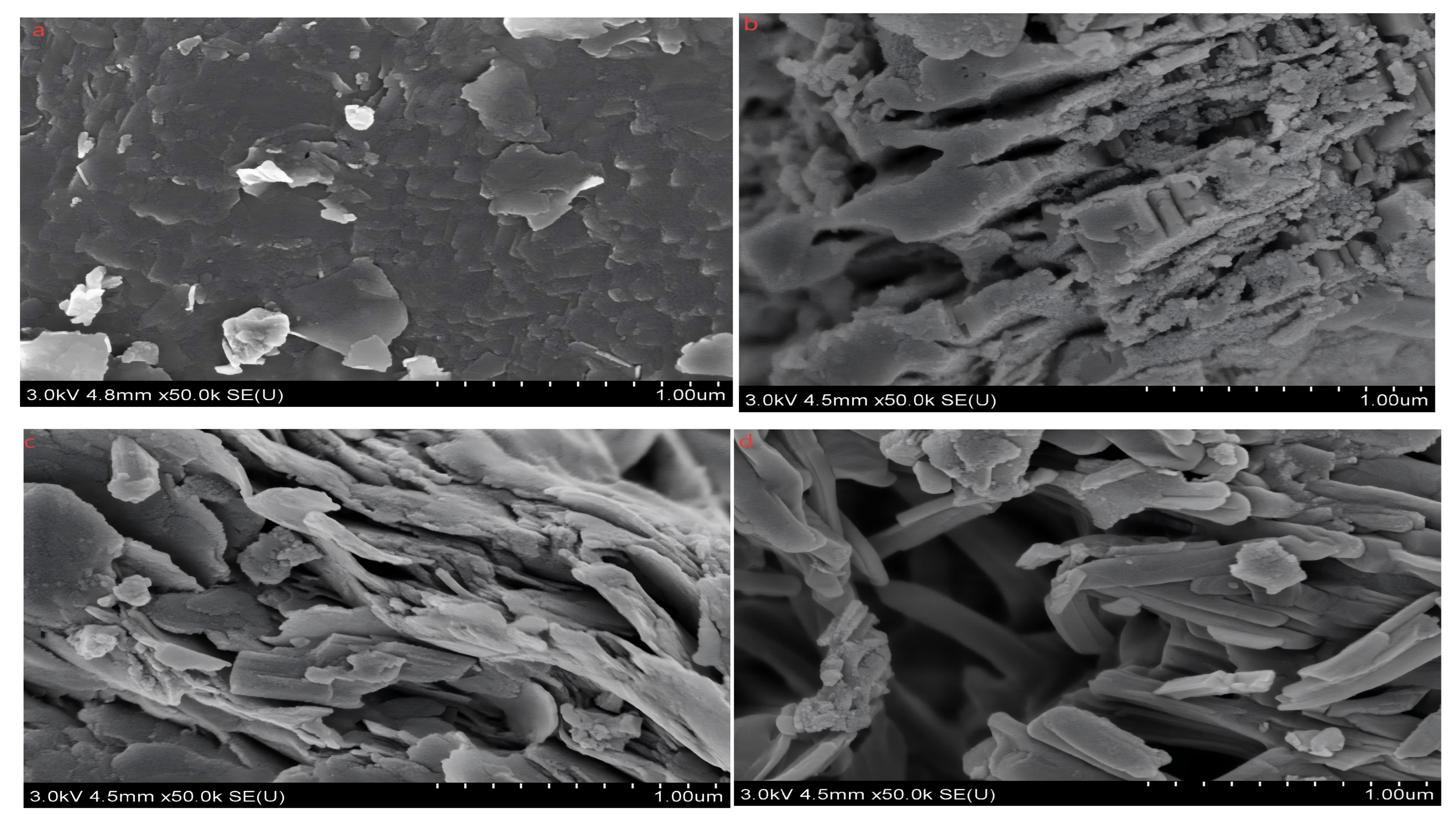 Sustainability 17 09308 g007