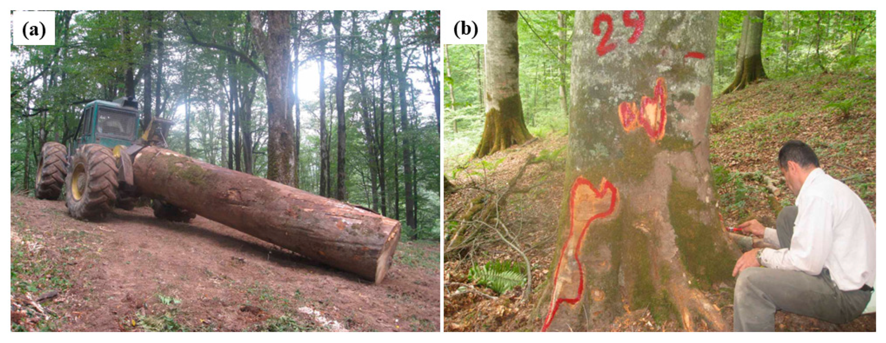 Sustainability 17 09319 g002 Sustainability 17 09319 g002