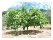 Sustainability 17 09347 i013 Sustainability 17 09347 i013