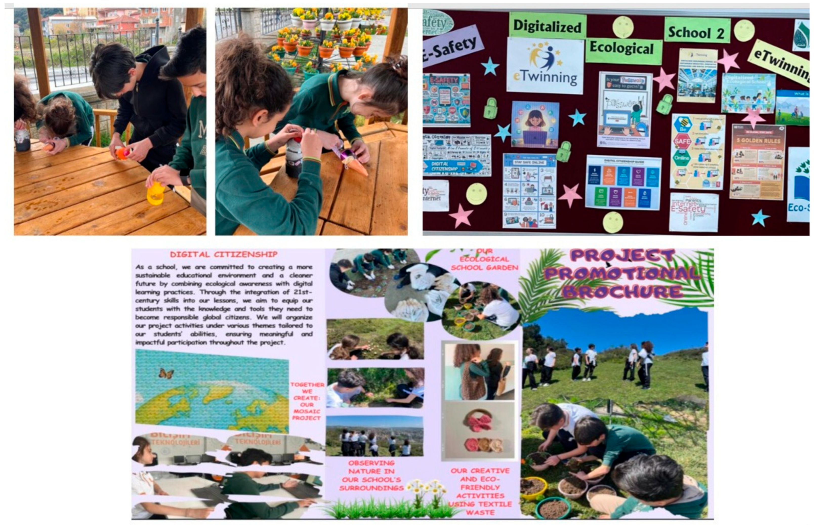 Sustainability 17 09376 g001