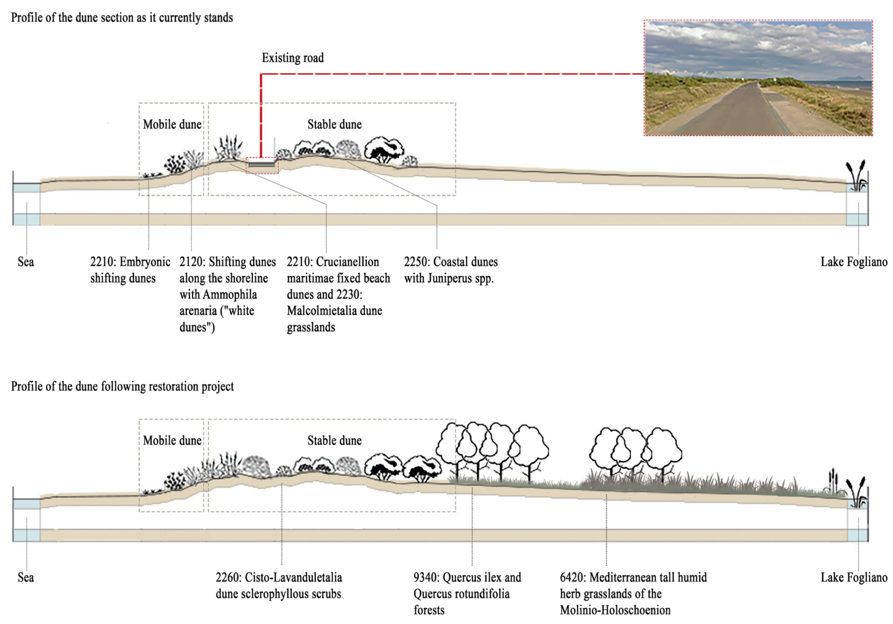 Sustainability 17 09388 g026