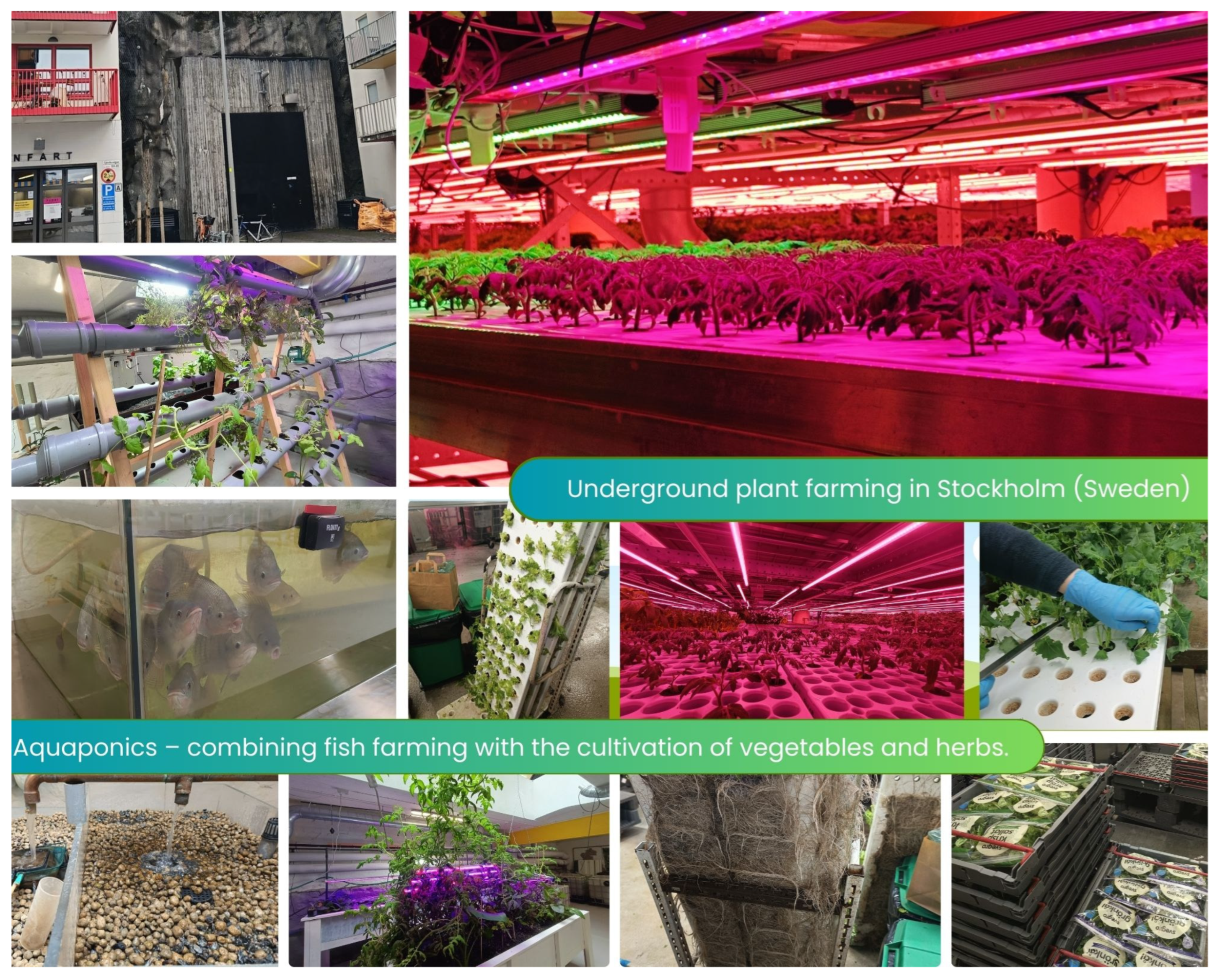 Sustainability 17 09392 g008