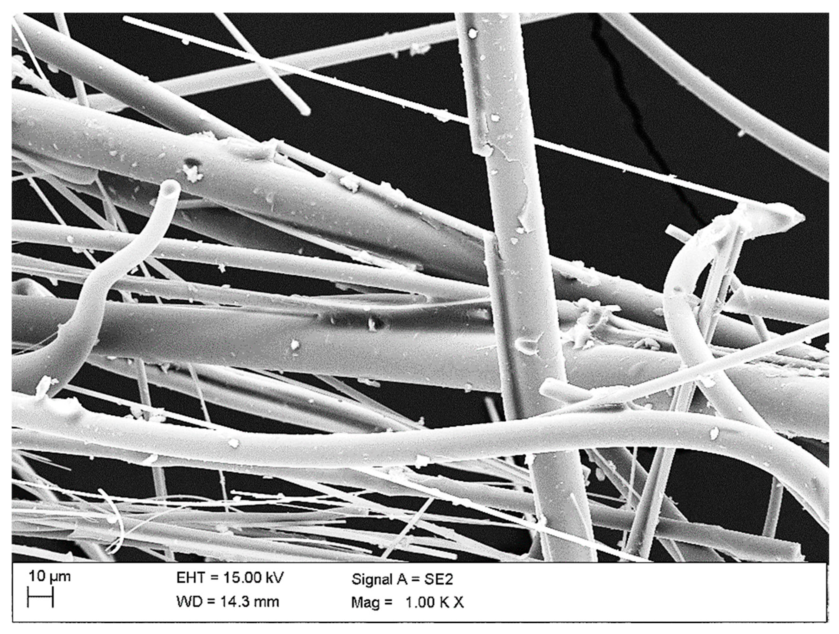 Sustainability 17 09442 g010