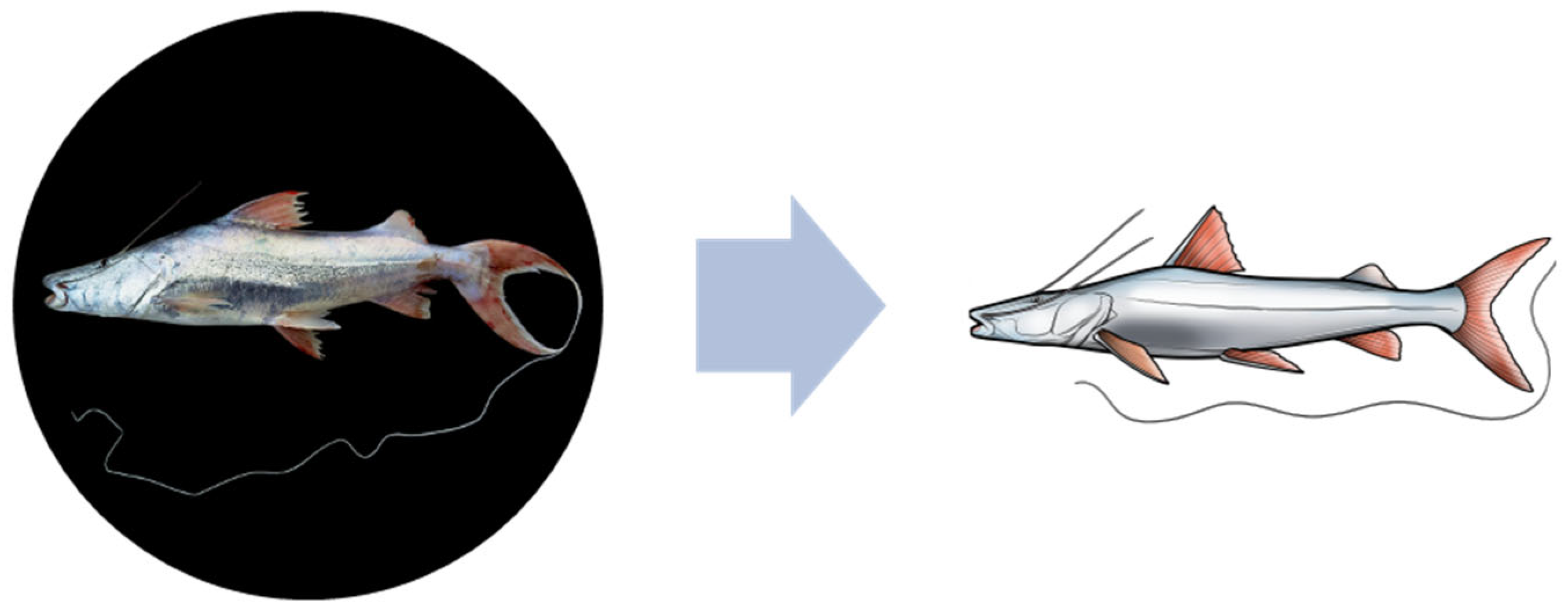 Sustainability 17 09449 g003