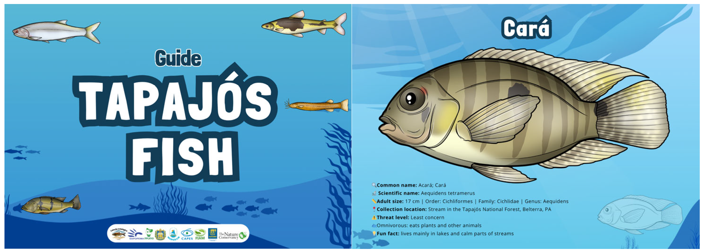 Sustainability 17 09449 g004