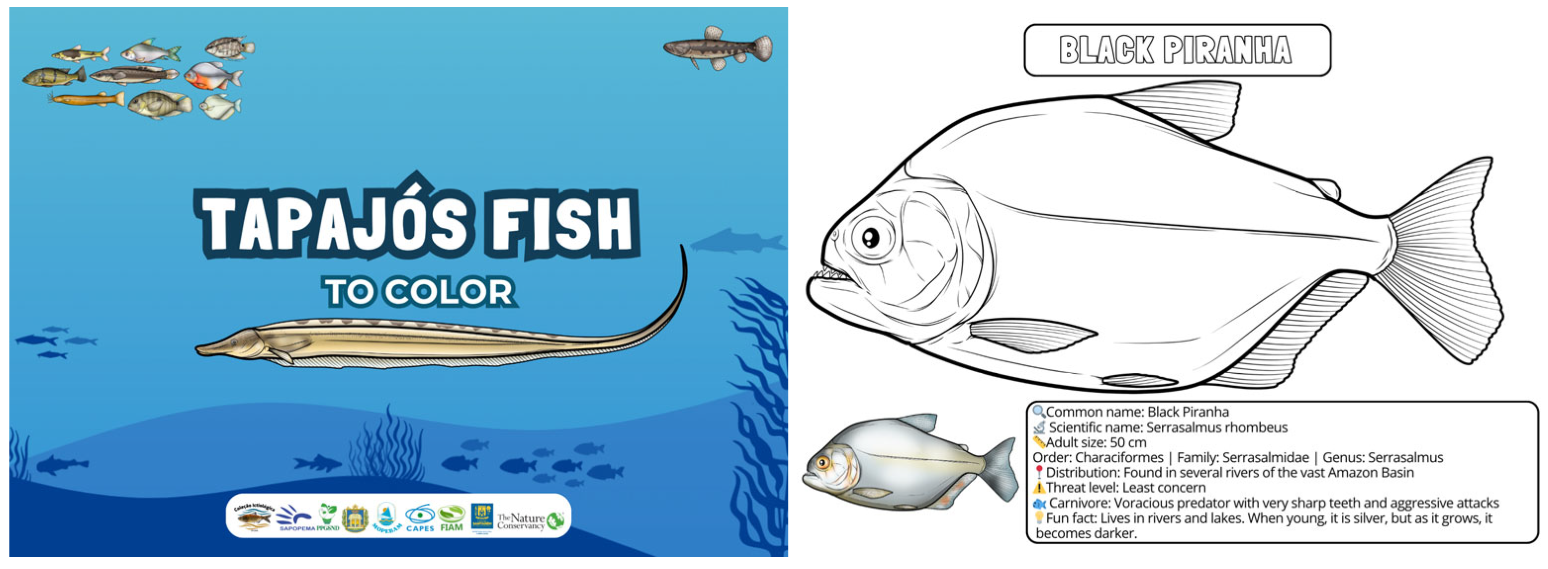 Sustainability 17 09449 g005