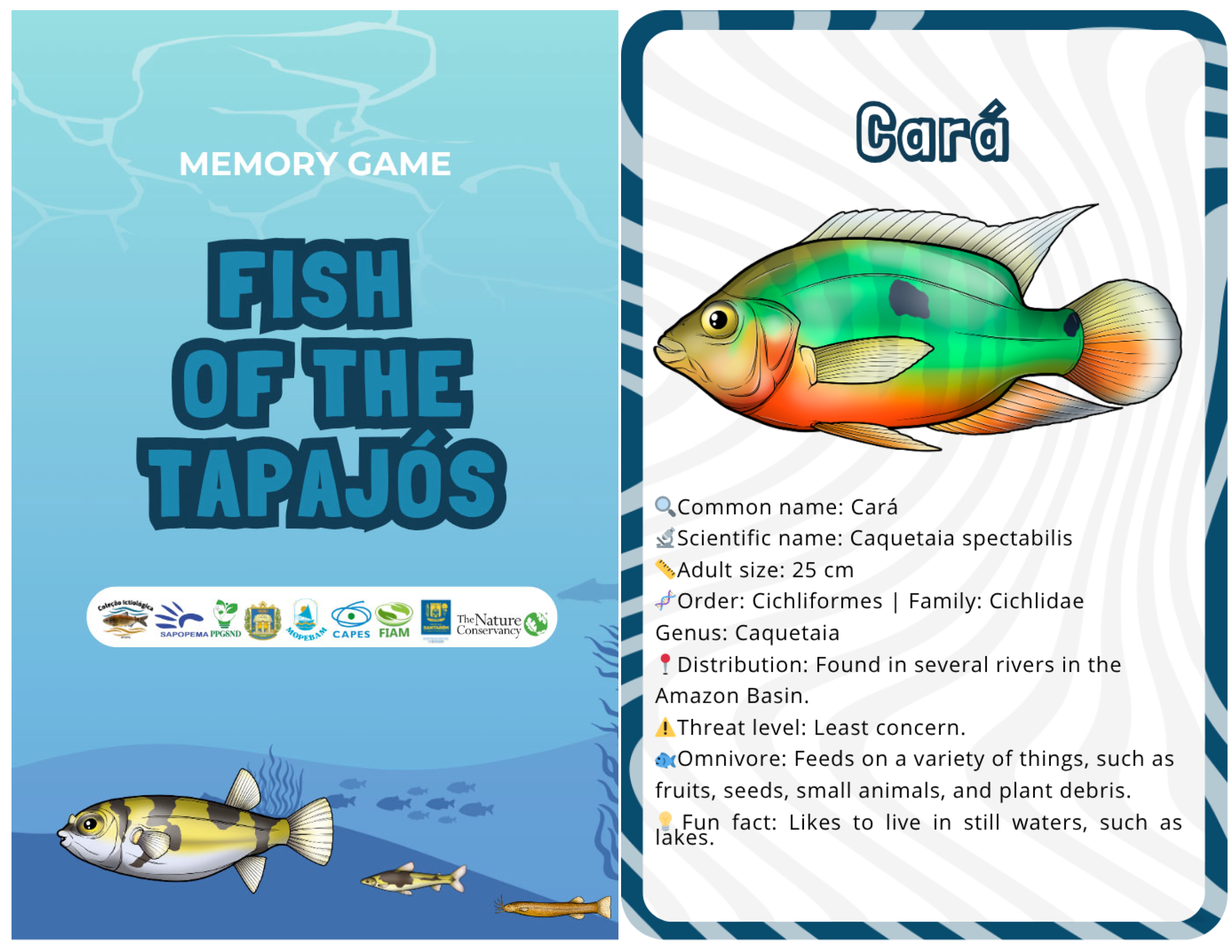 Sustainability 17 09449 g006