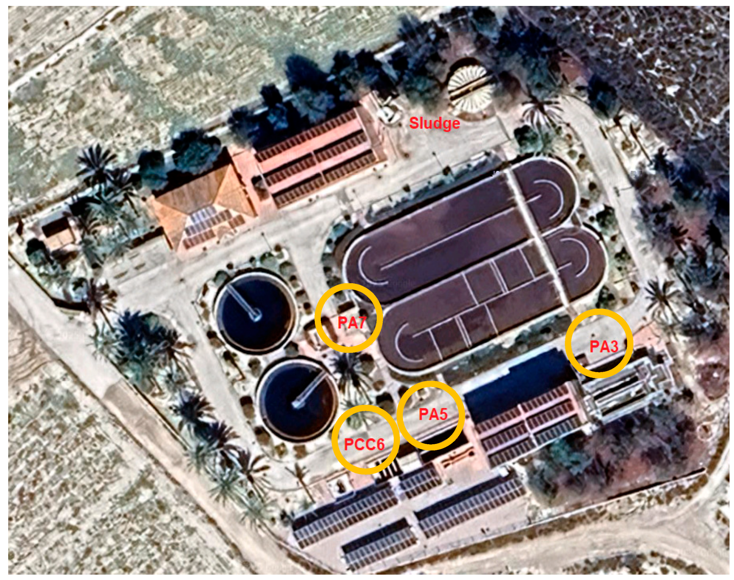 Sustainability 17 09470 g002