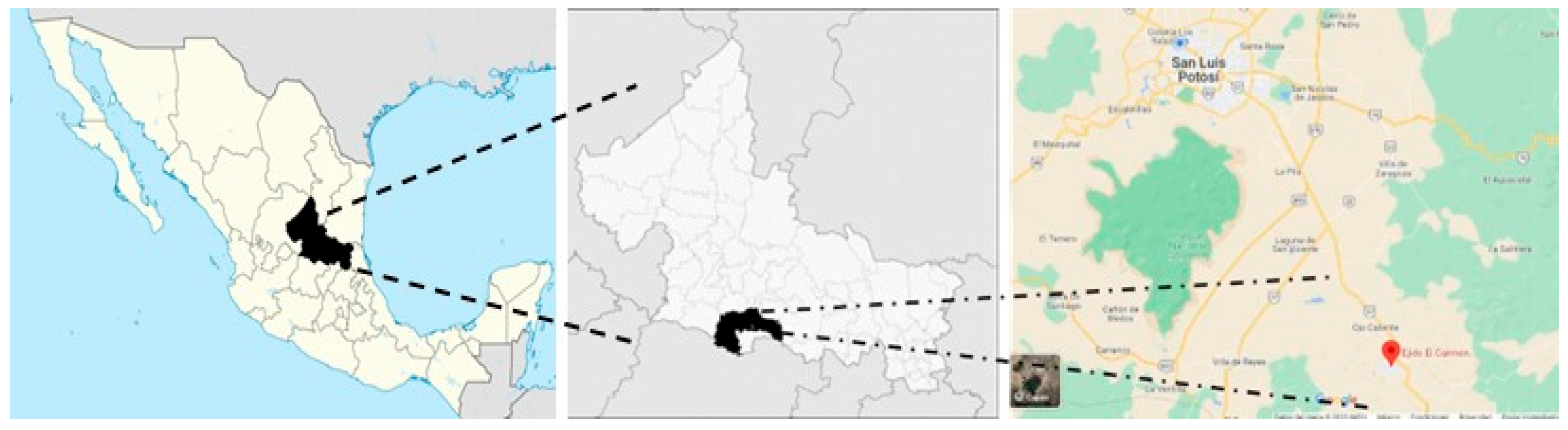 Sustainability 17 09481 g001