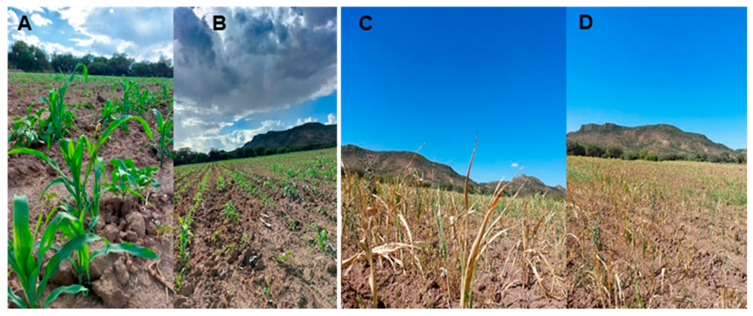 Sustainability 17 09481 g002