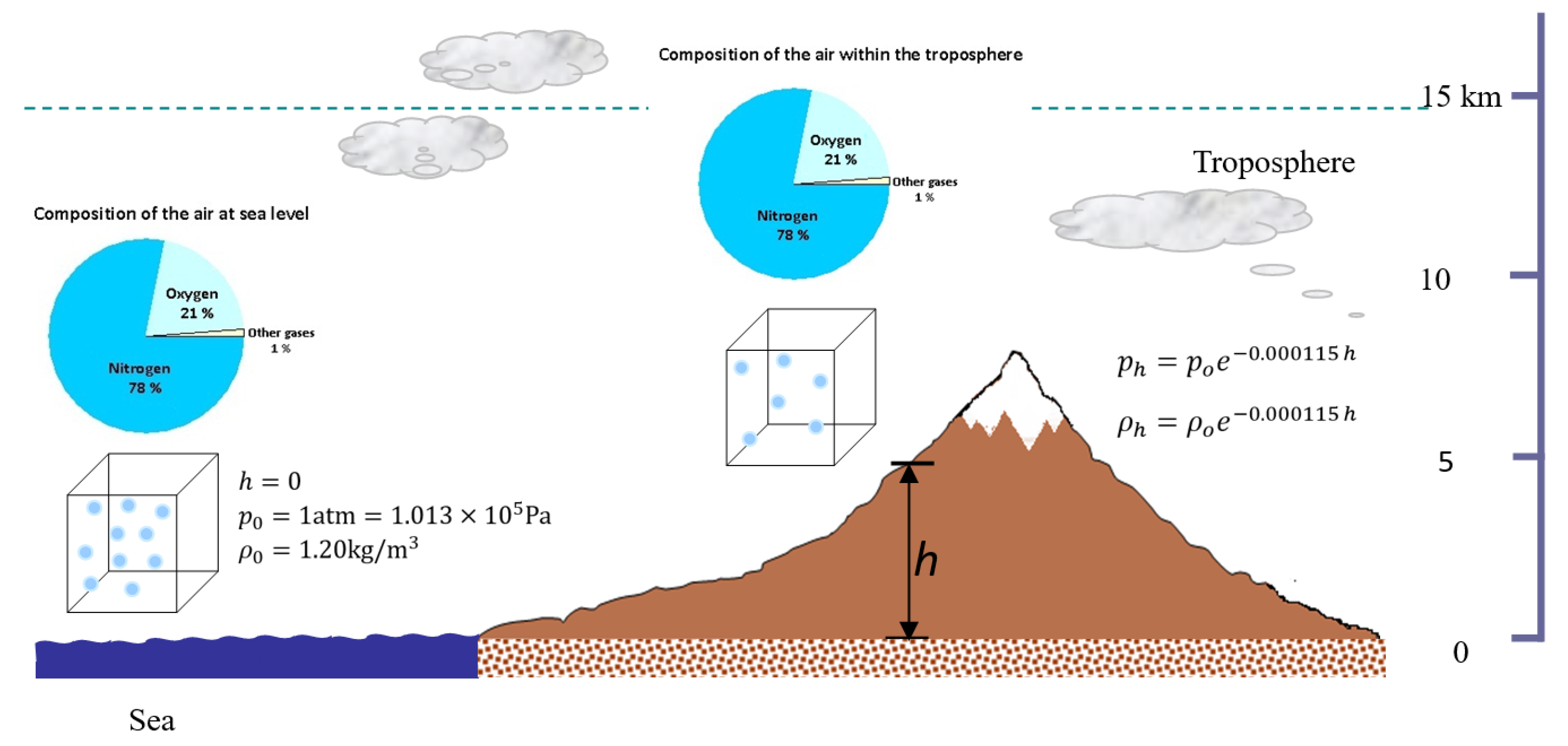 Sustainability 17 09506 g004