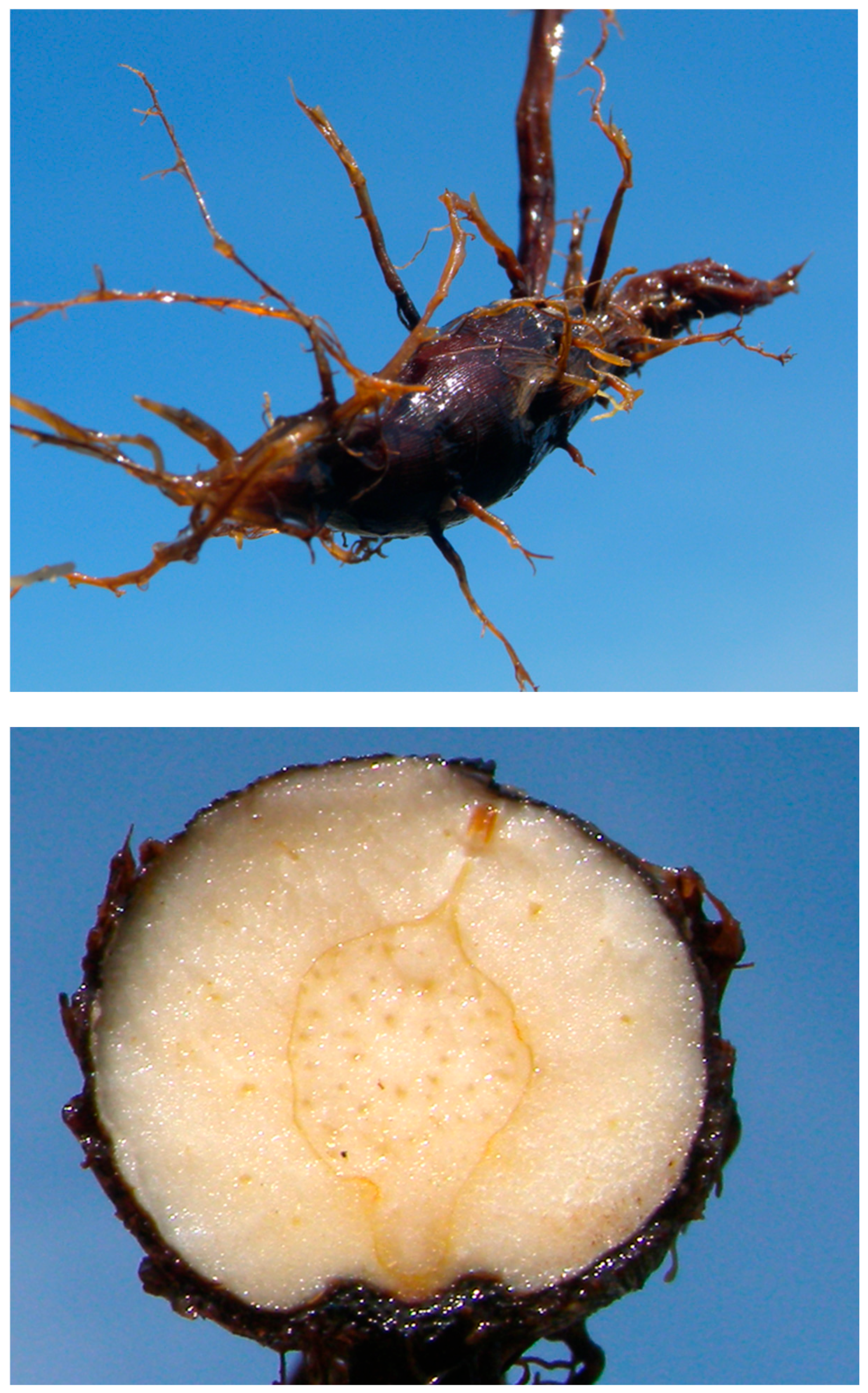 Sustainability 17 09543 g002 Sustainability 17 09543 g002