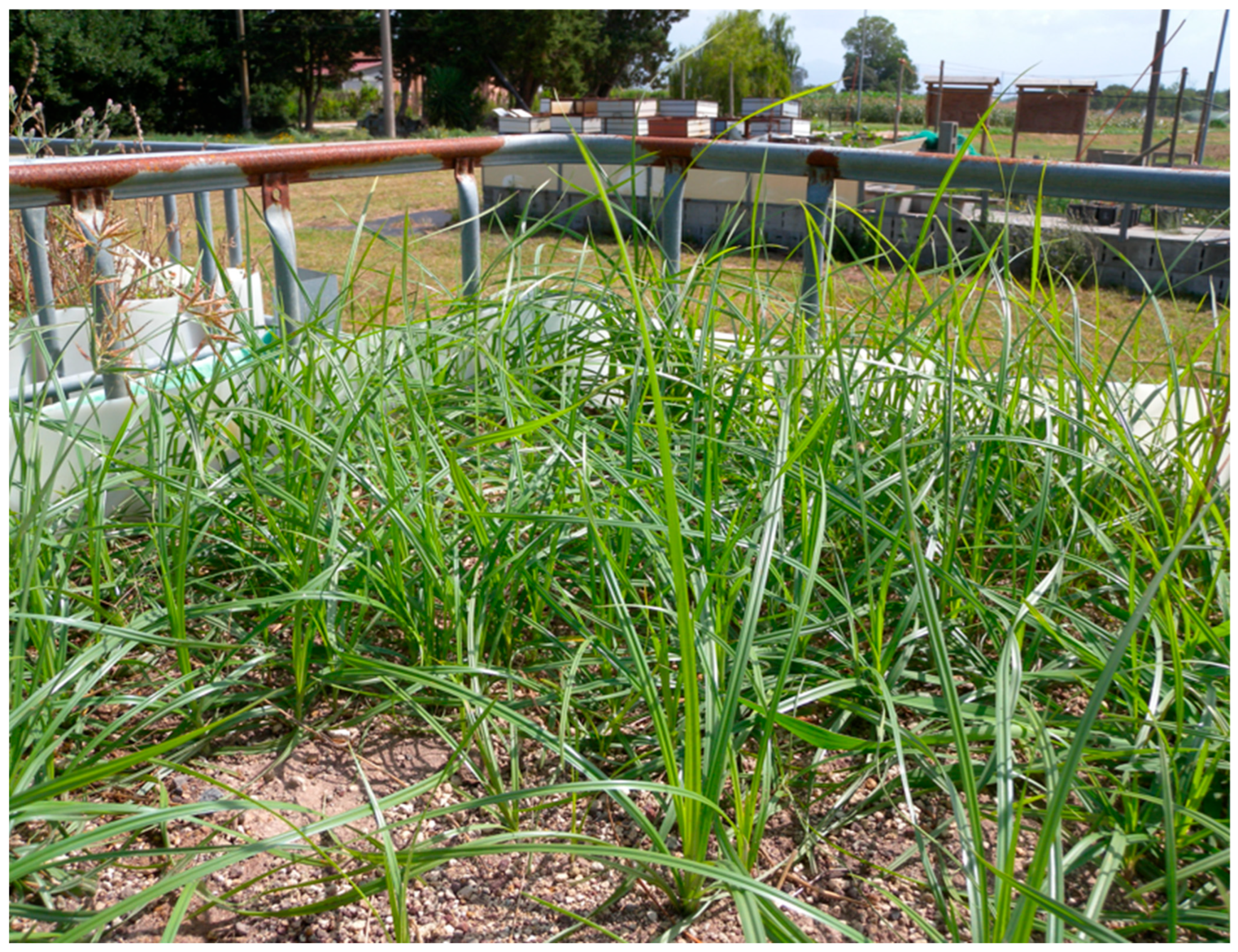 Sustainability 17 09543 g003 Sustainability 17 09543 g003