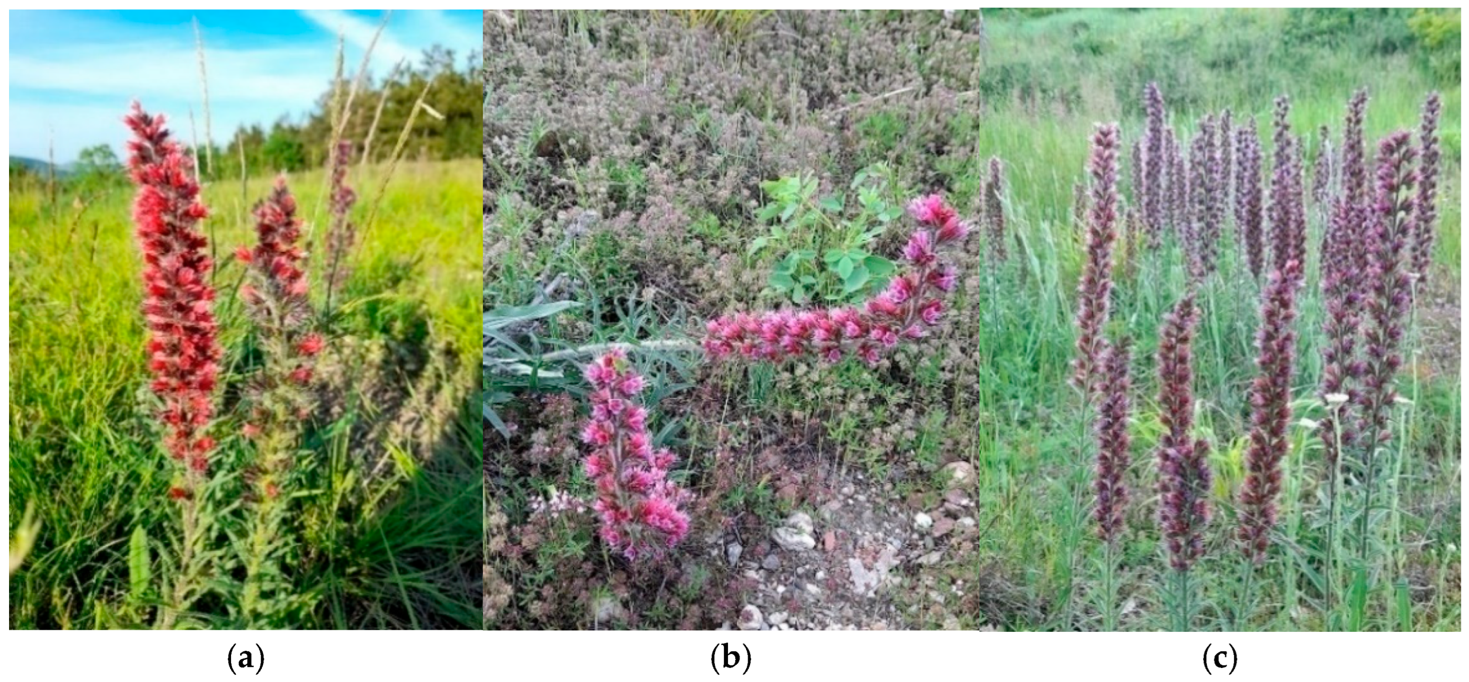 Sustainability 17 09558 g002 Sustainability 17 09558 g002