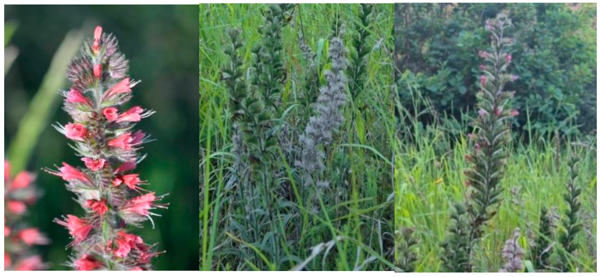 Sustainability 17 09558 g003 Sustainability 17 09558 g003