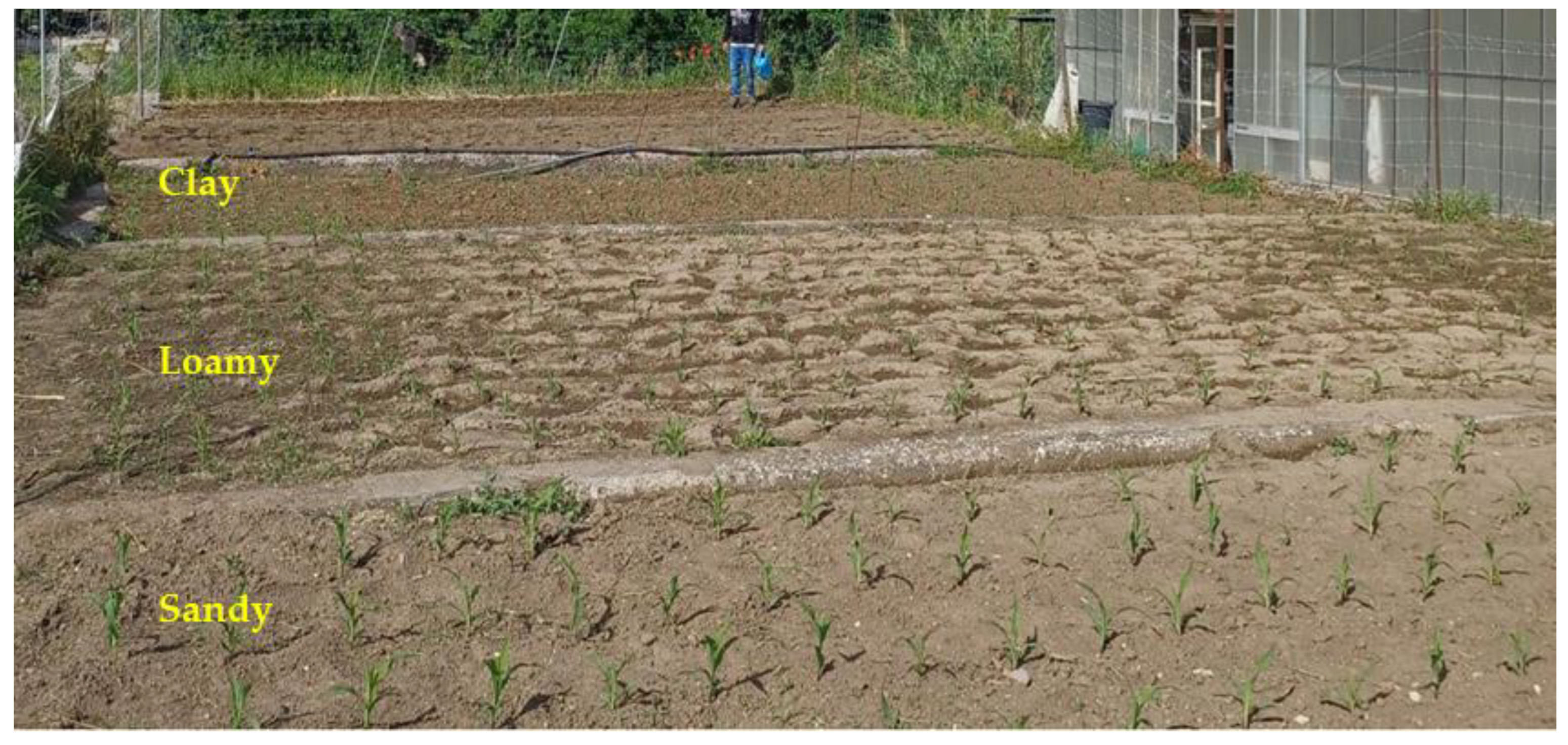 Sustainability 17 09617 g001 Sustainability 17 09617 g001