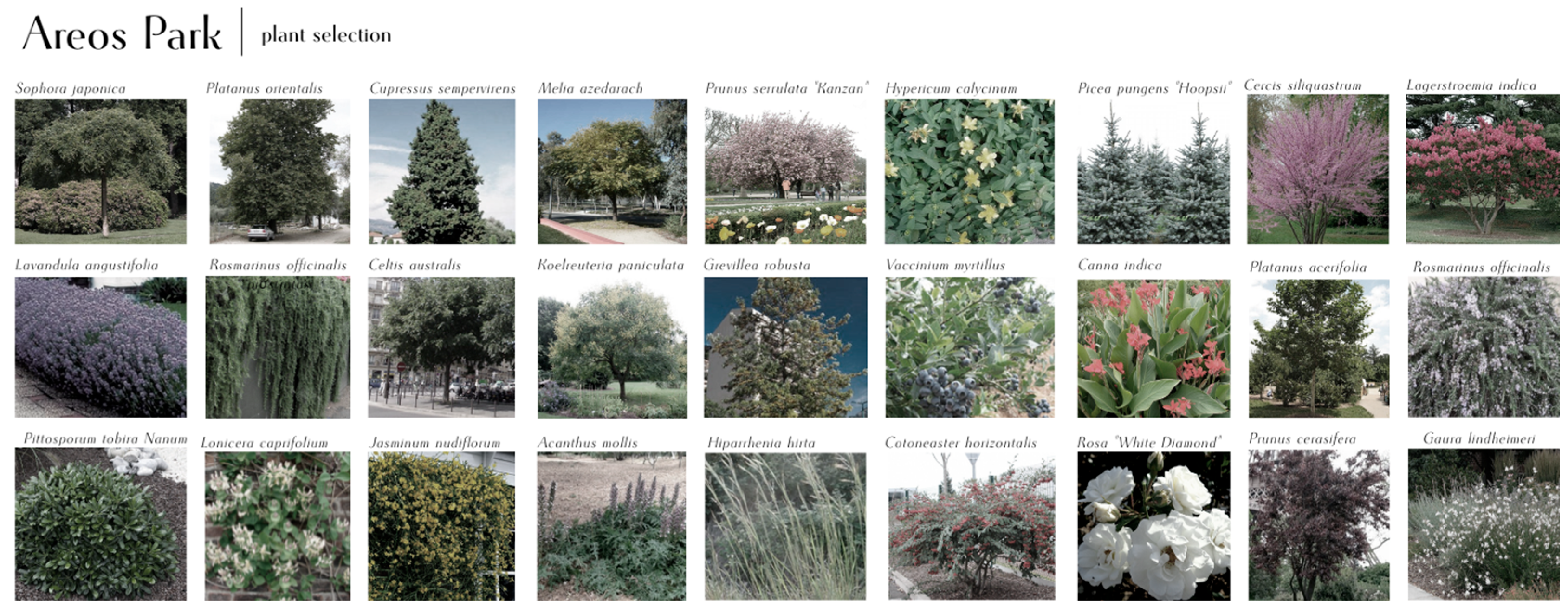 Sustainability 17 09640 g020