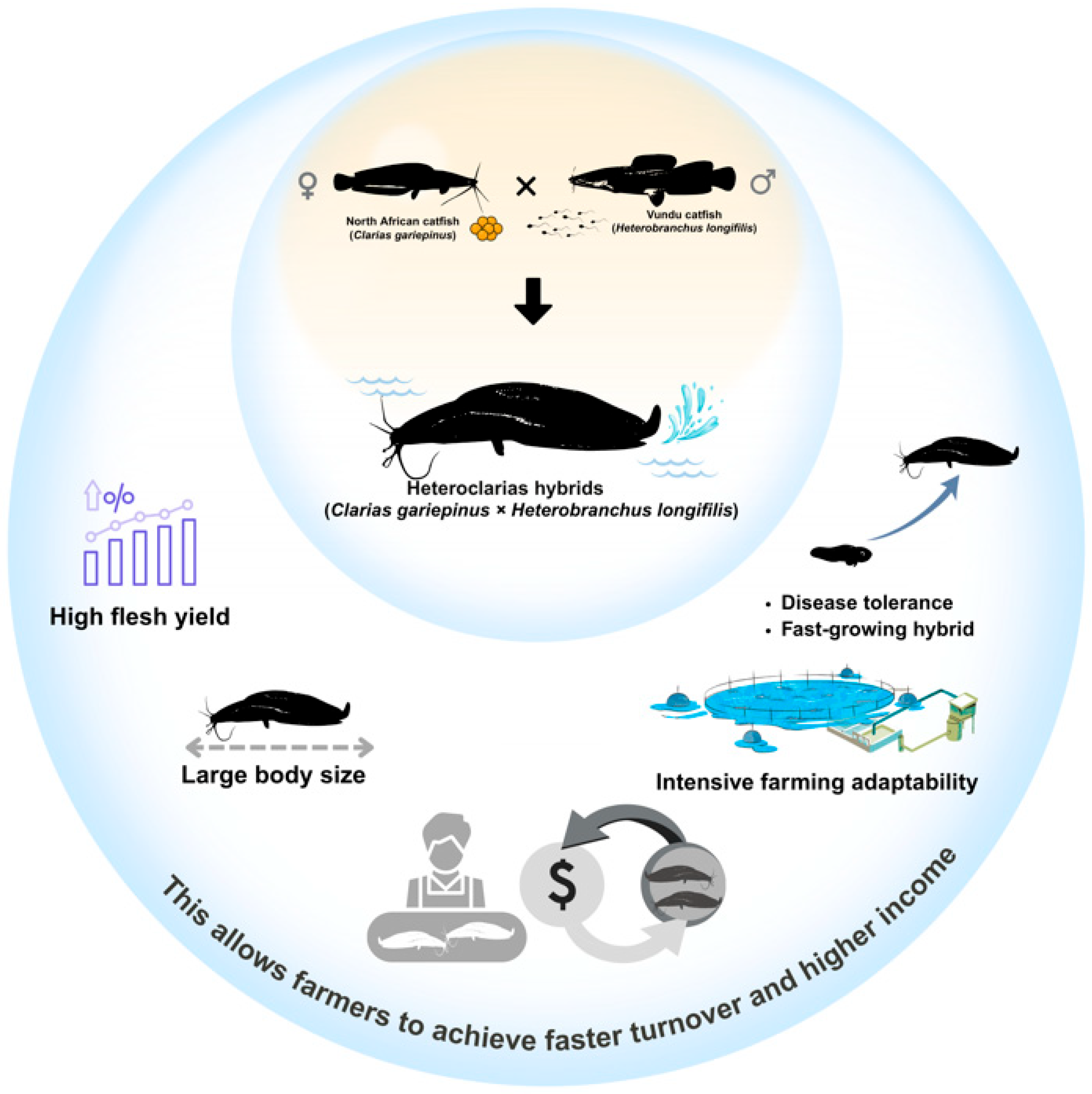 Sustainability 17 09645 g002 Sustainability 17 09645 g002