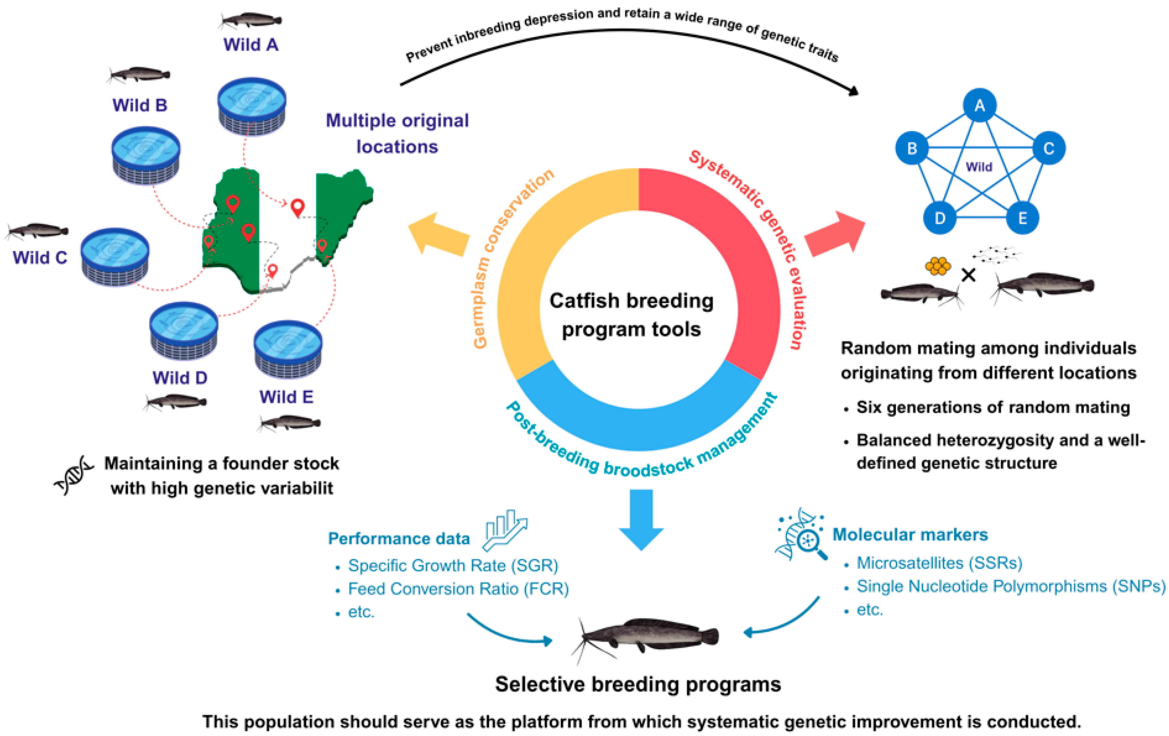 Sustainability 17 09645 g003 Sustainability 17 09645 g003