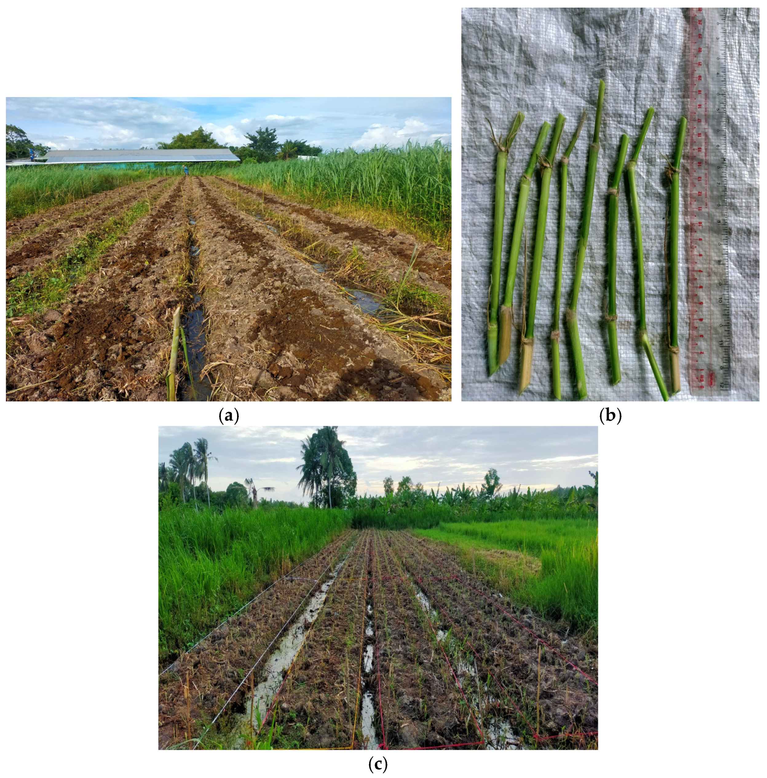 Sustainability 17 09649 g002 Sustainability 17 09649 g002