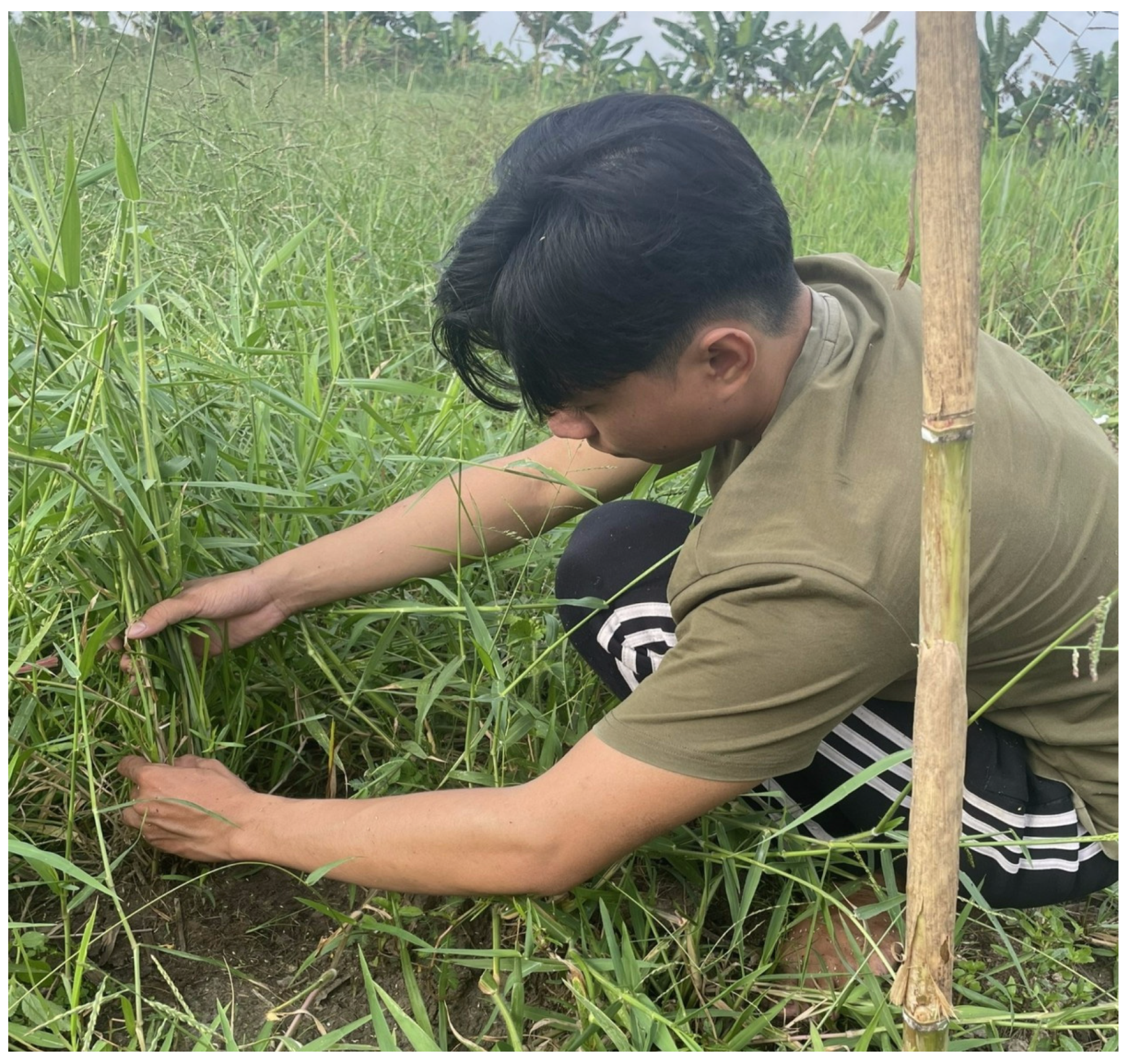 Sustainability 17 09649 g003 Sustainability 17 09649 g003