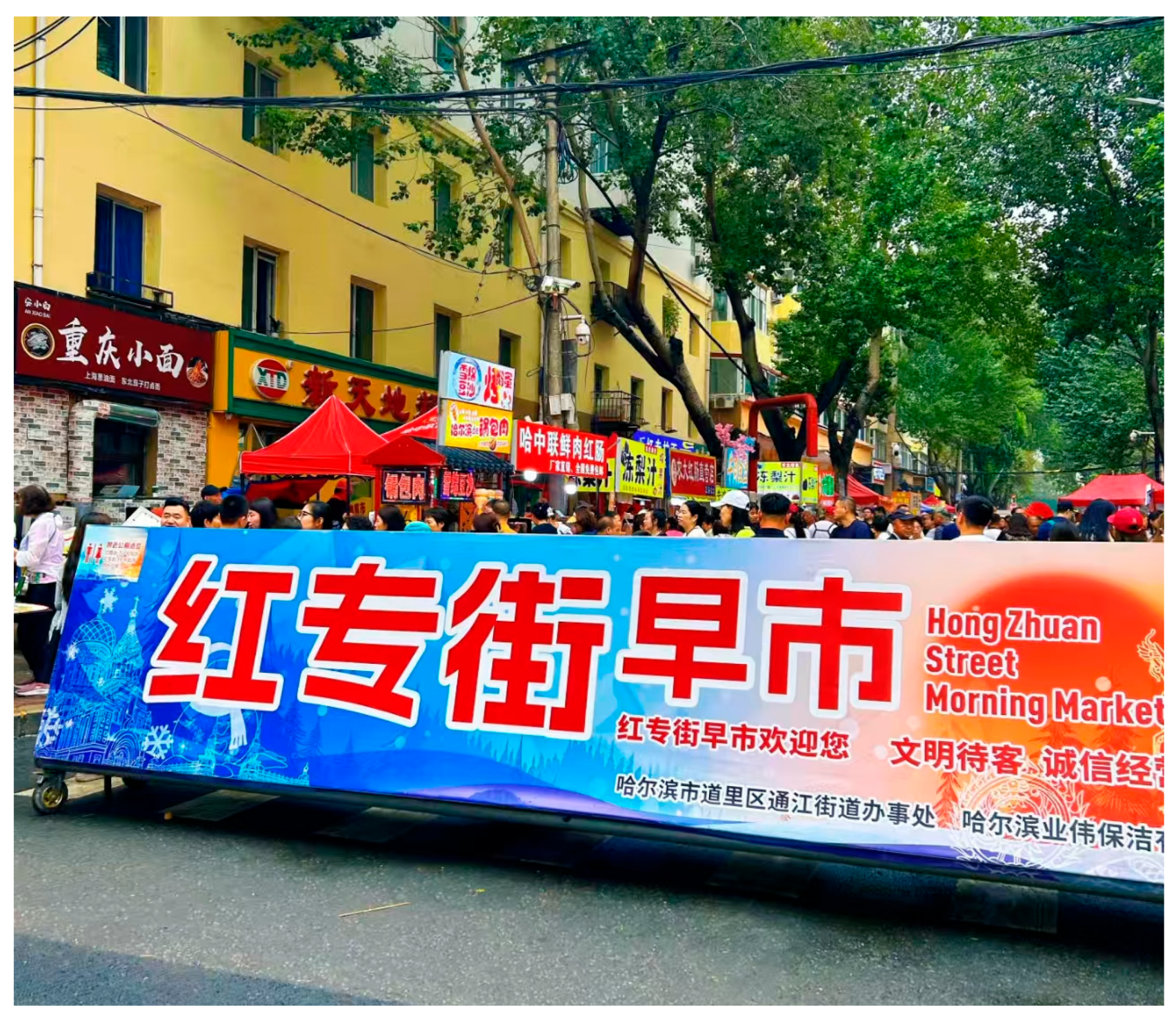 Sustainability 17 09675 g001