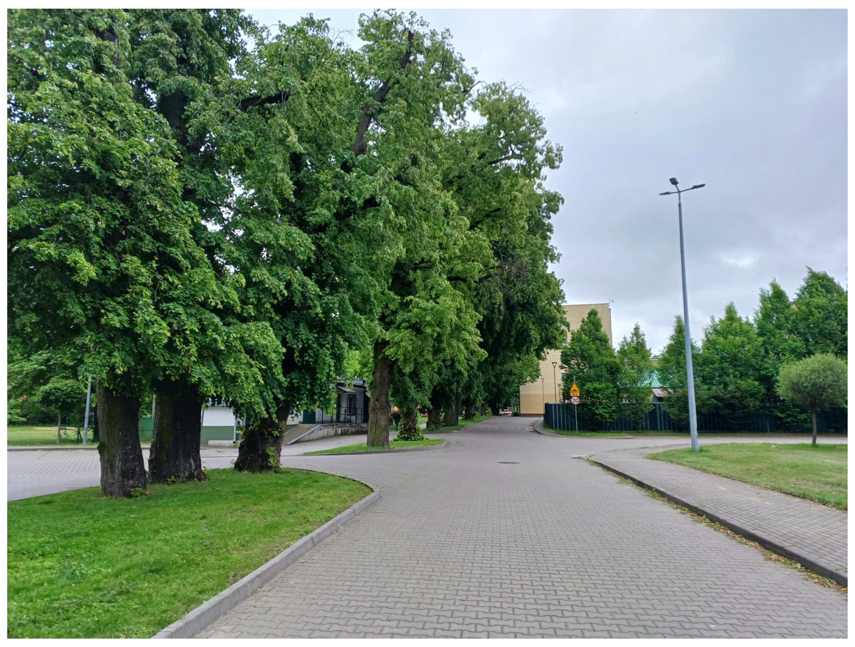 Sustainability 17 09681 g004 Sustainability 17 09681 g004