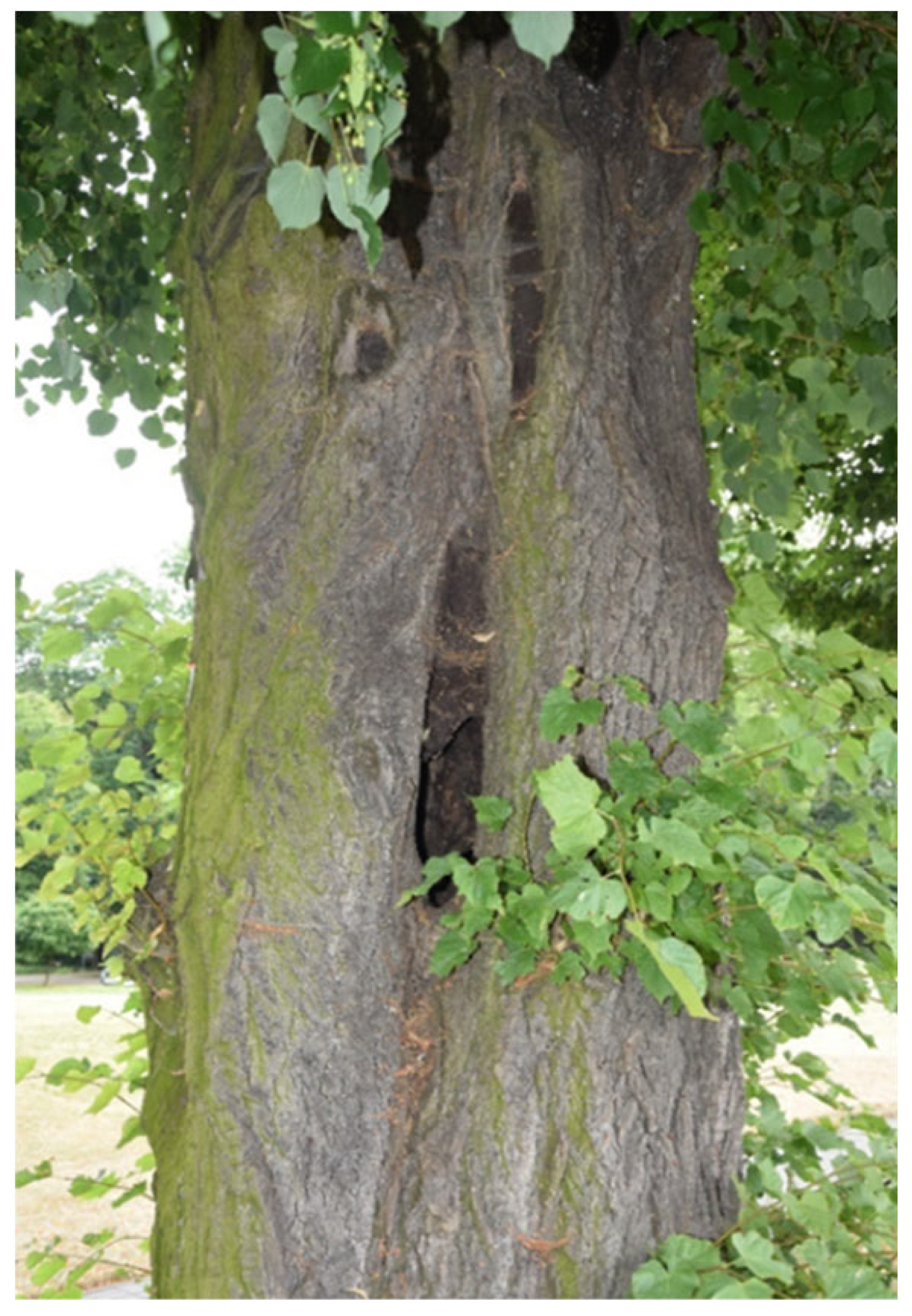 Sustainability 17 09681 i005 Sustainability 17 09681 i005