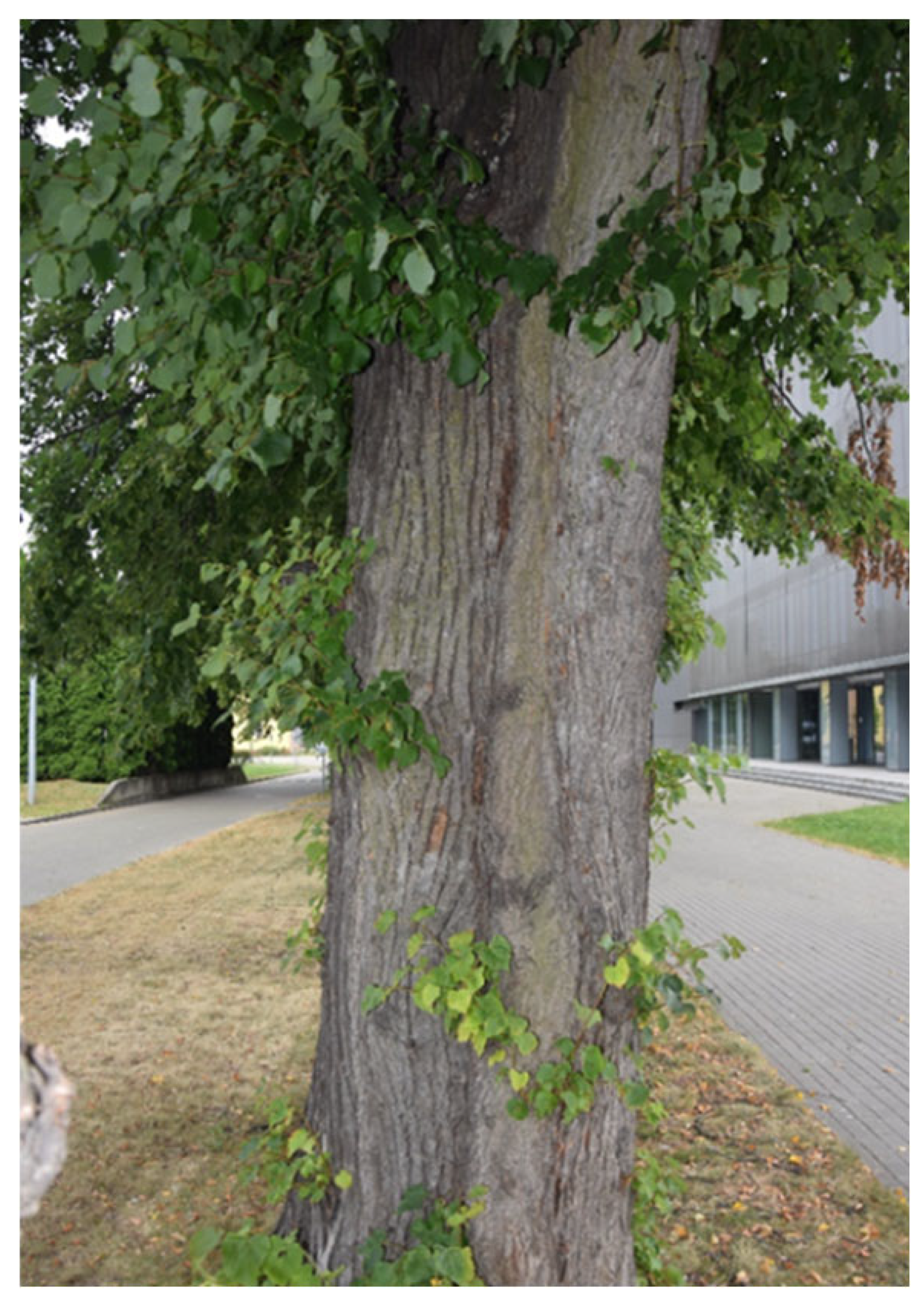 Sustainability 17 09681 i015 Sustainability 17 09681 i015