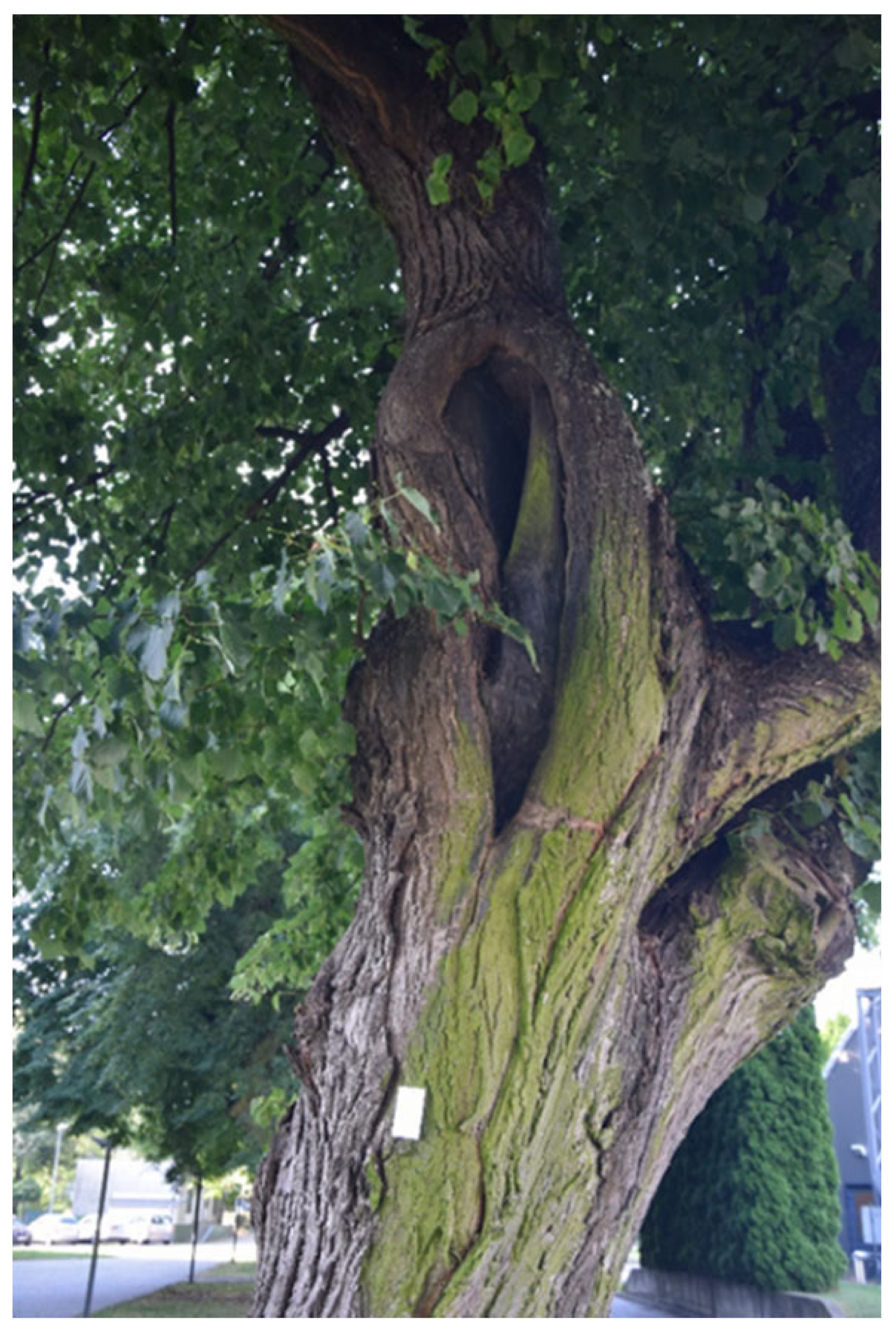 Sustainability 17 09681 i025 Sustainability 17 09681 i025