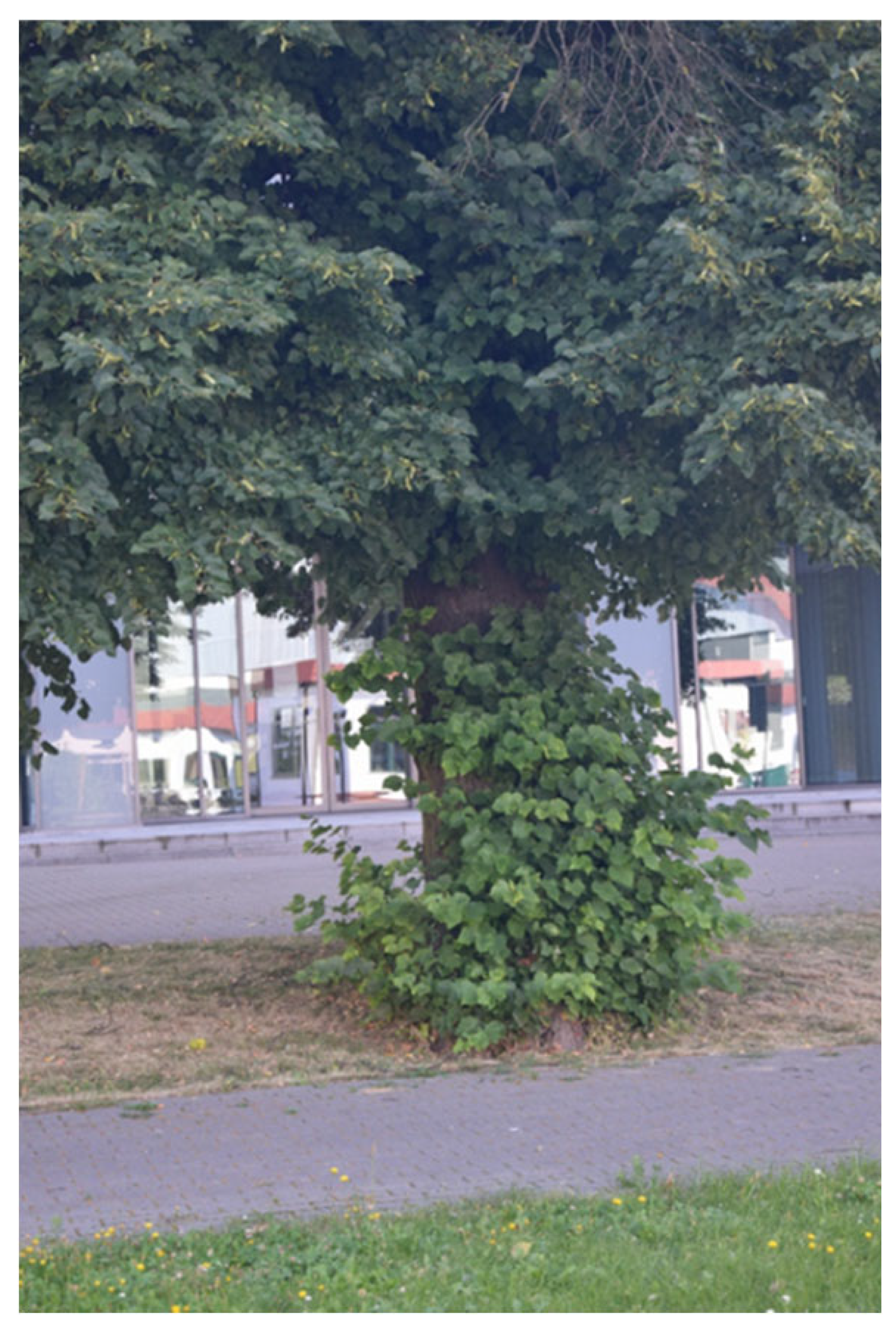 Sustainability 17 09681 i027 Sustainability 17 09681 i027