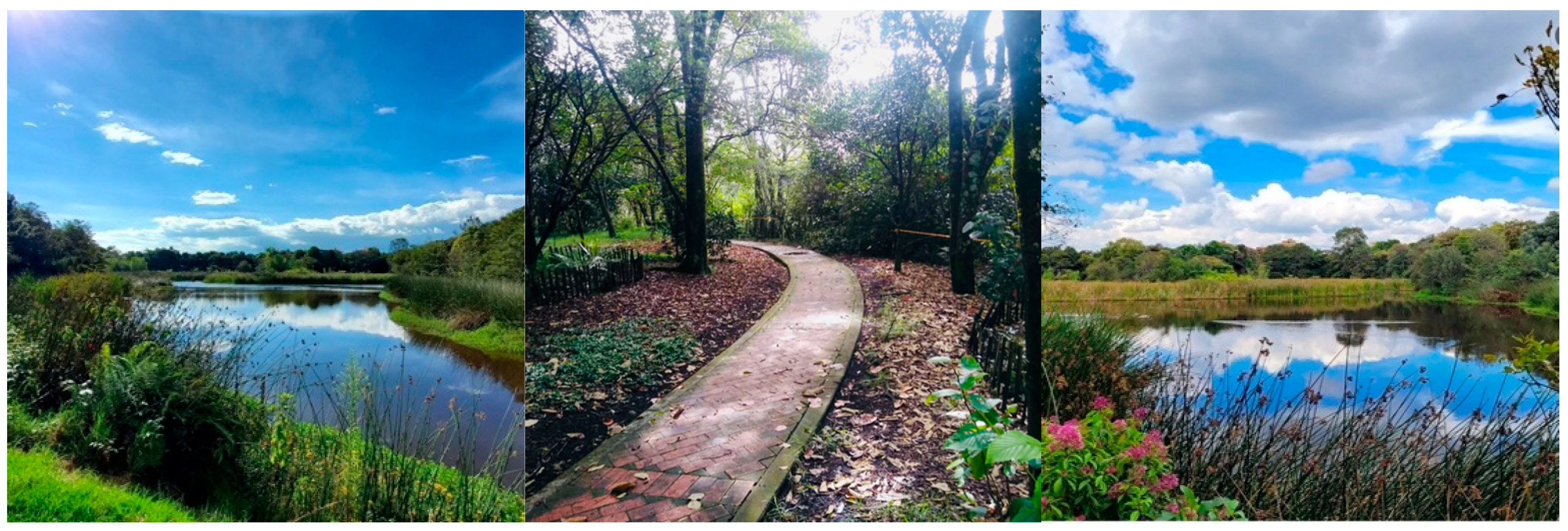 Sustainability 17 09716 g002